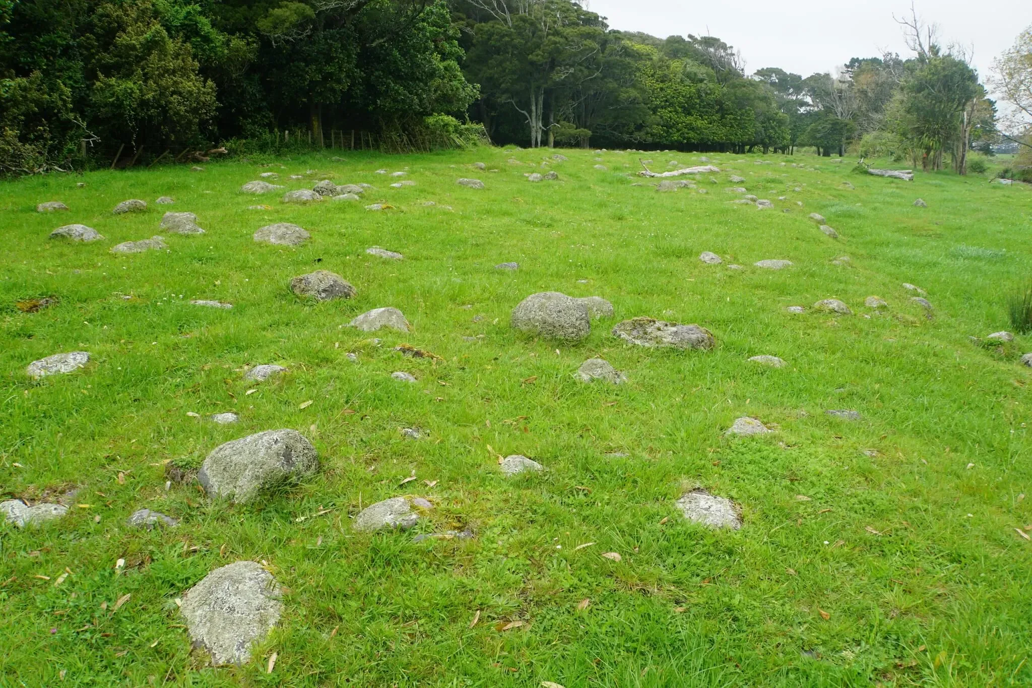 67 photos of Round Rock Grassy Field