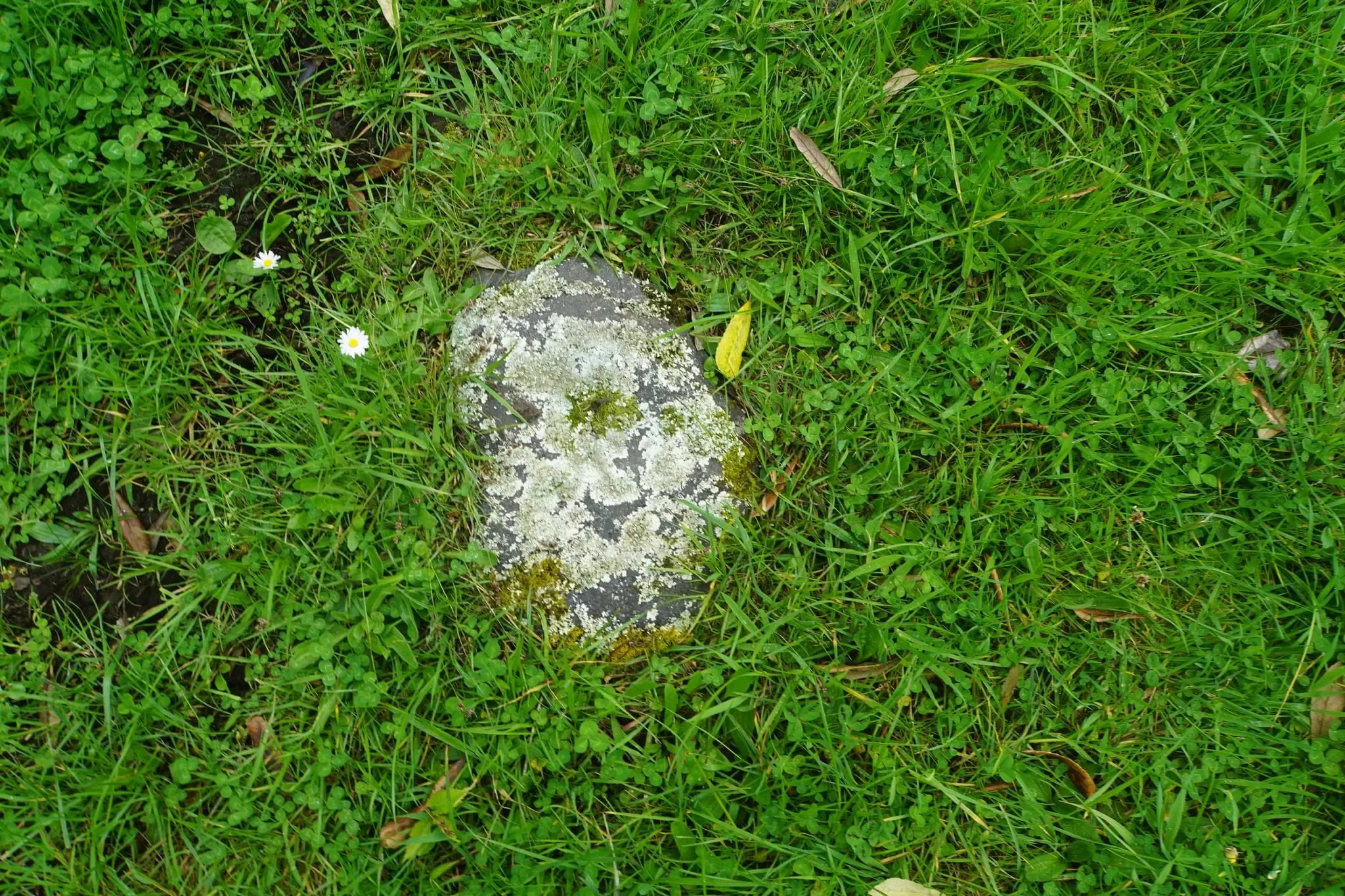 67 photos of Round Rock Grassy Field