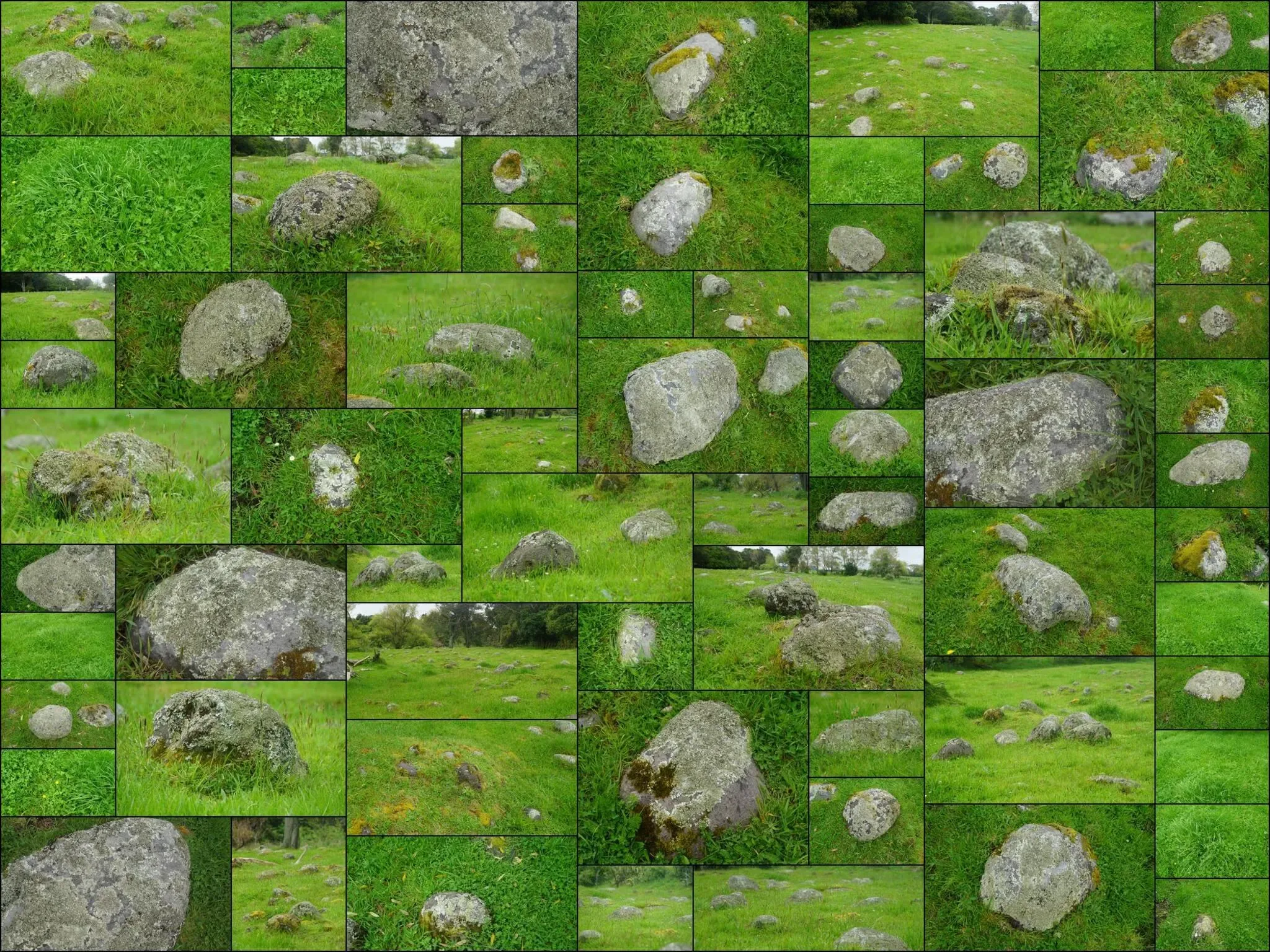 67 photos of Round Rock Grassy Field