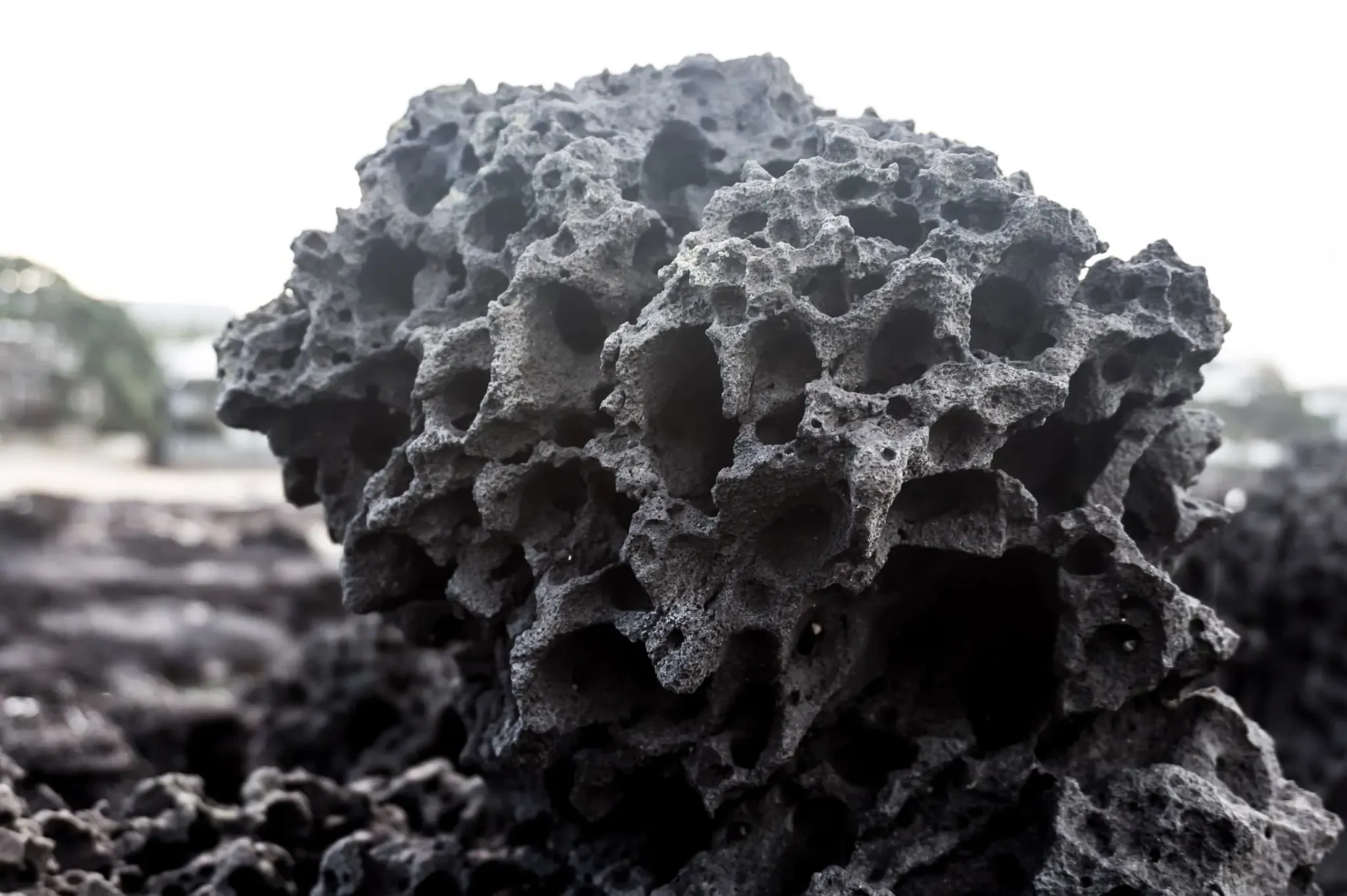 183 photos of Black Lava Porous Rocks