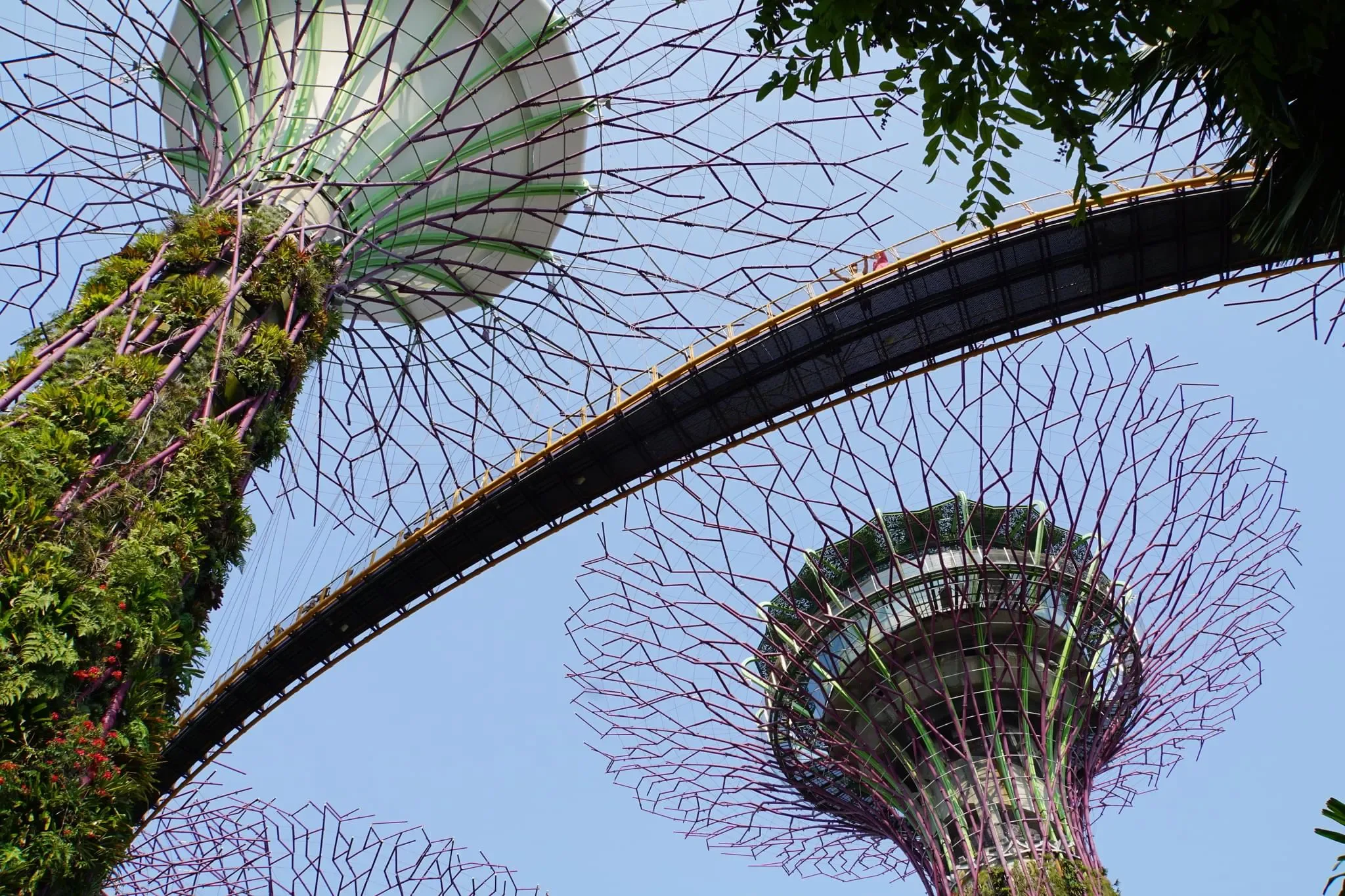 255 photos of Giant Tree Garden Structures