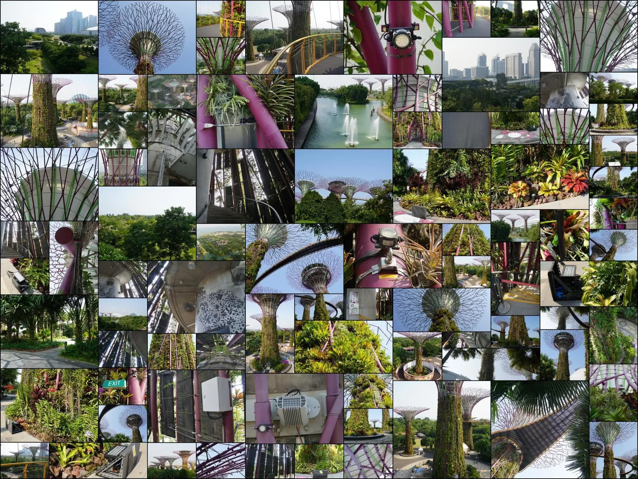 255 photos of Giant Tree Garden Structures