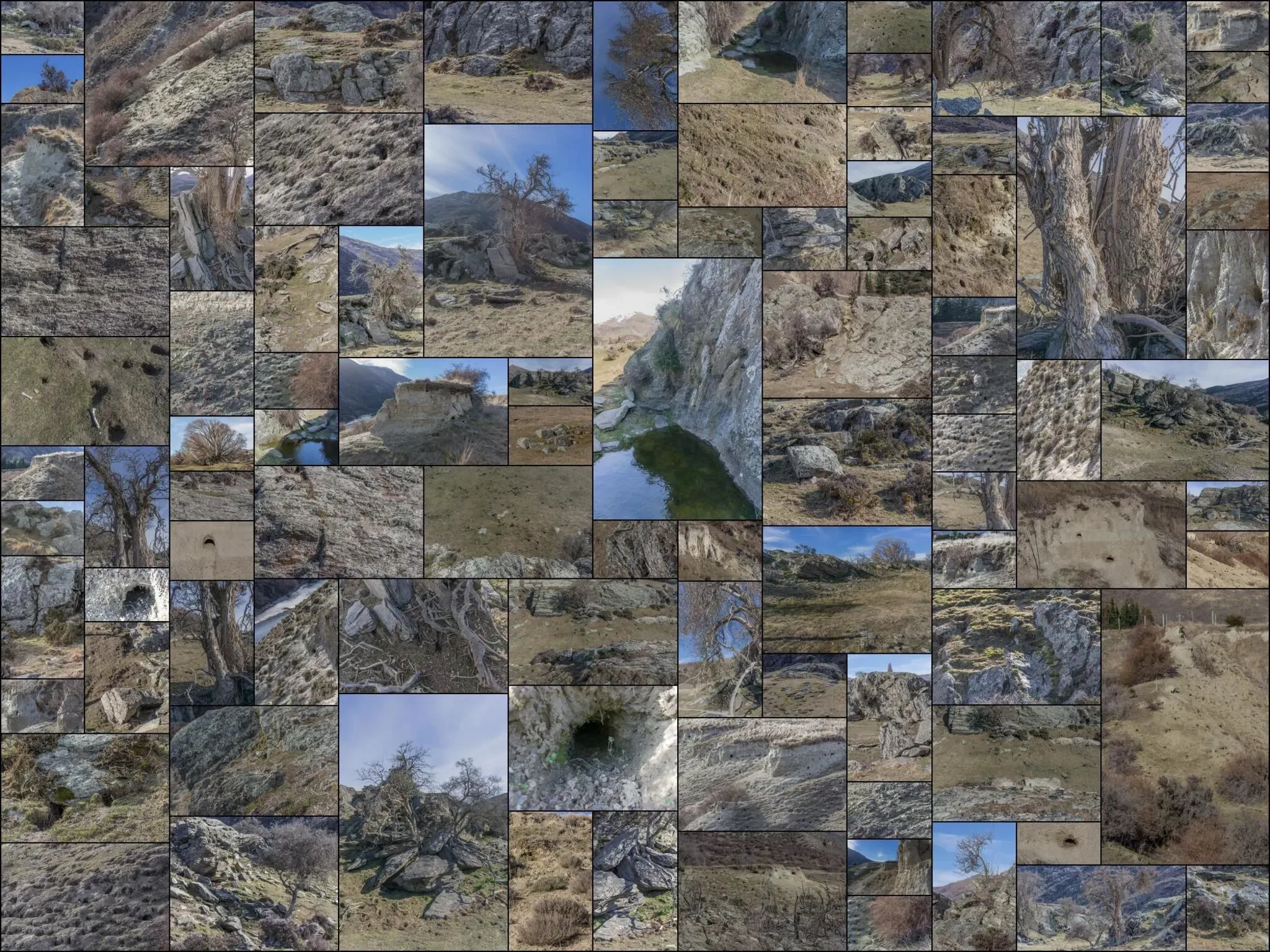 198 photos of Rogue Rabbit Colony