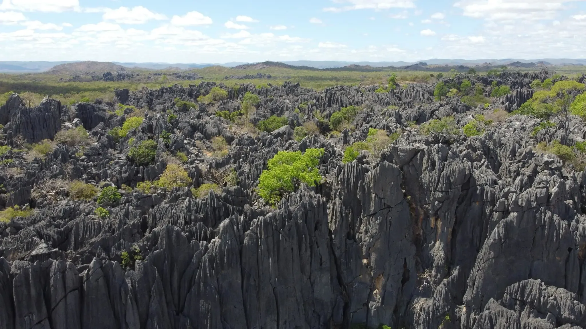 216 photos of Limestone Castle Rock Formation