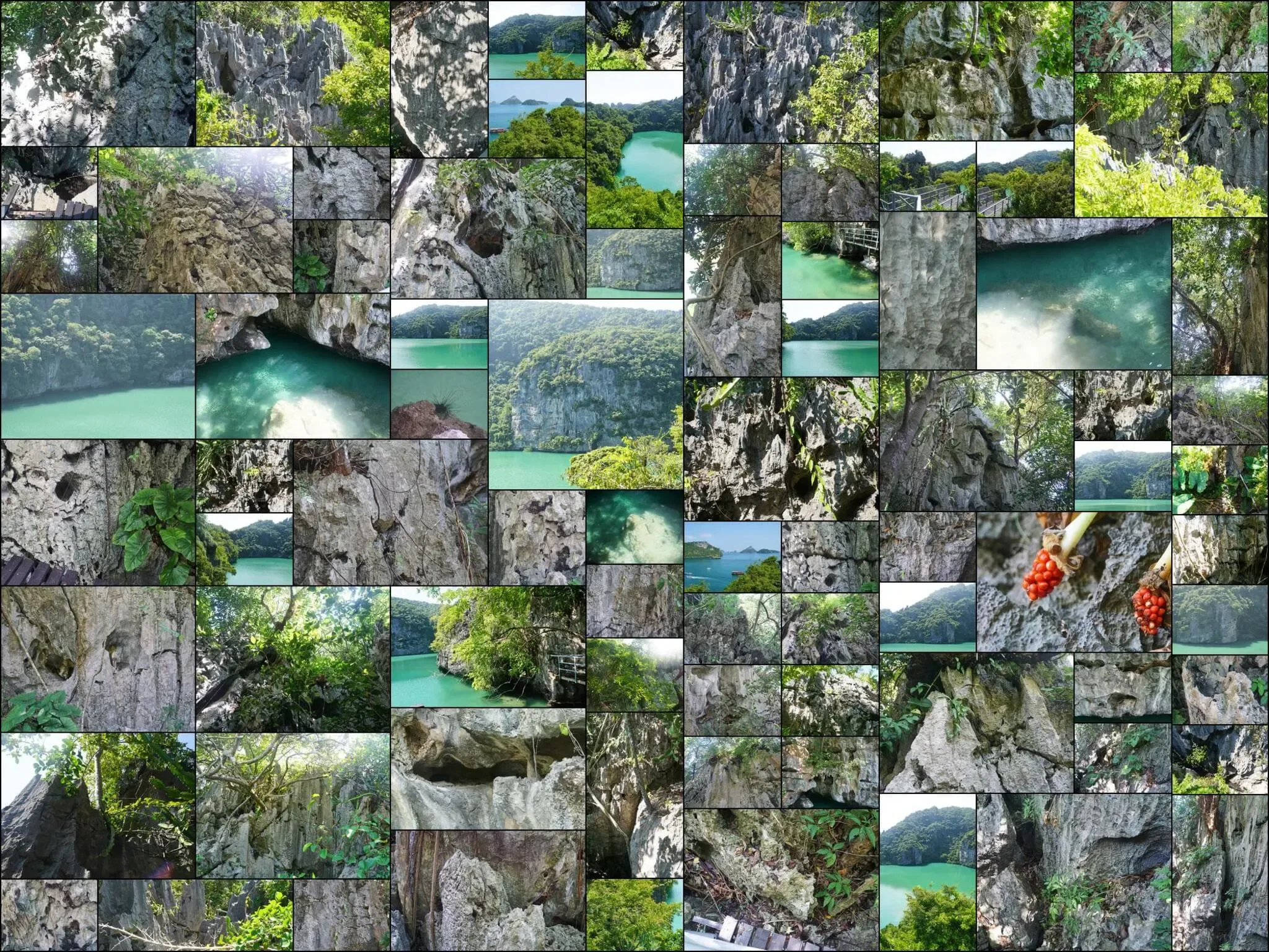 164 photos of Inner Island Lagoon