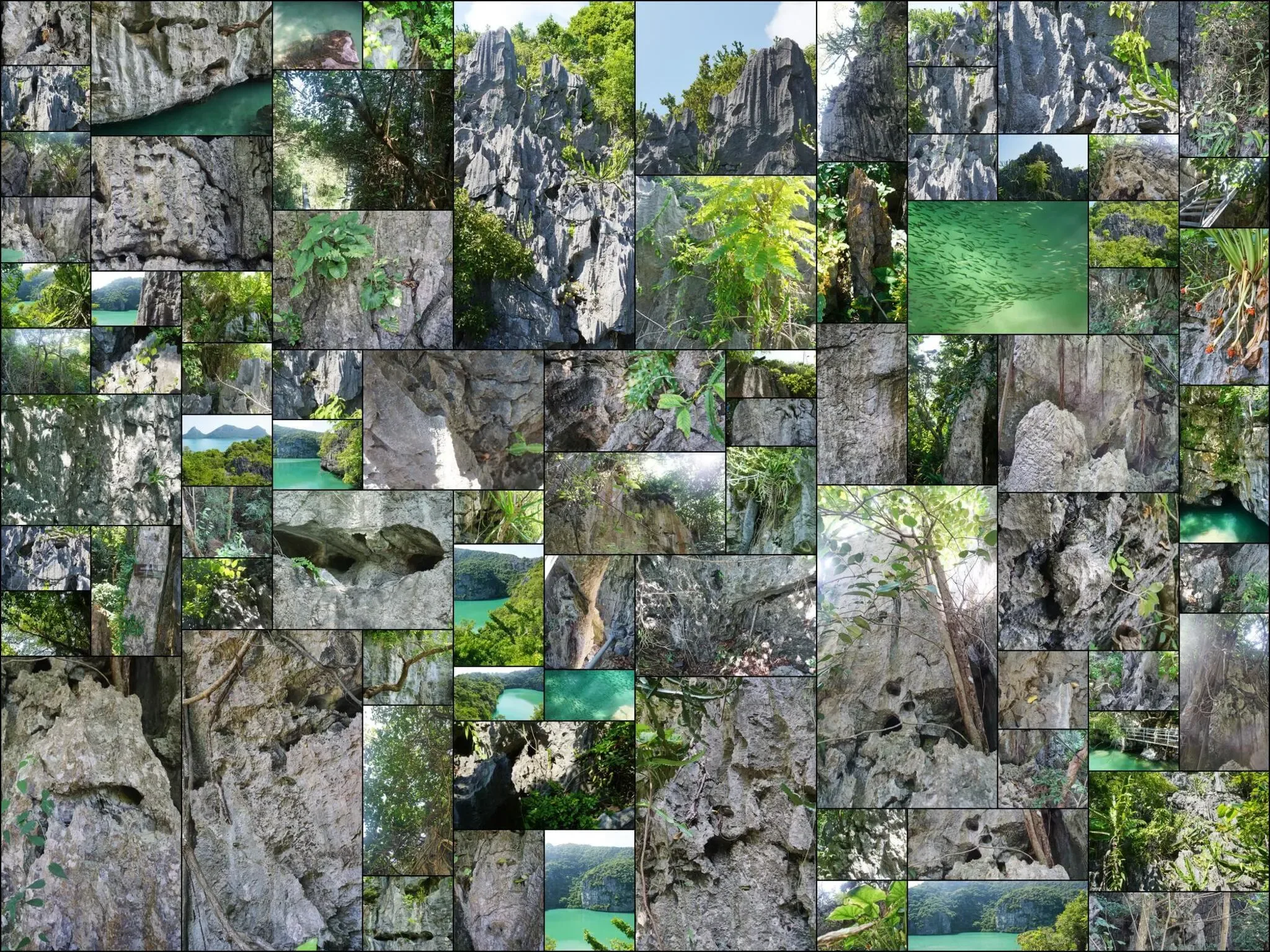 164 photos of Inner Island Lagoon