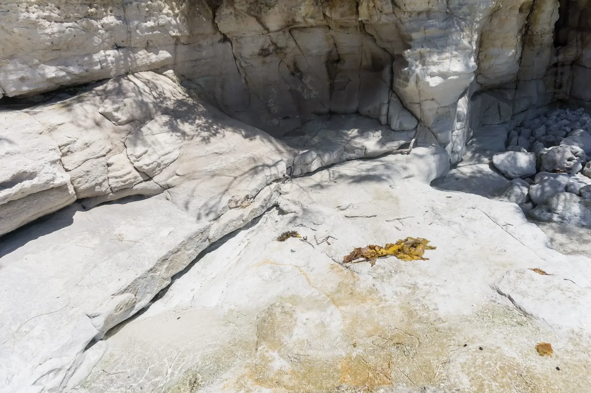 176 photos of White Marine Cliffs and Sand