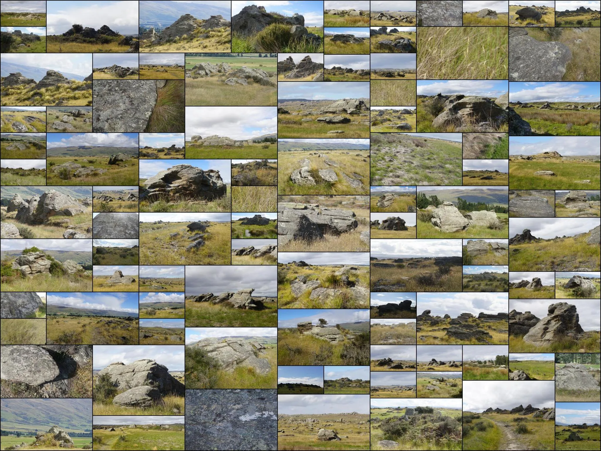 193 photos of Dry Field Rocks