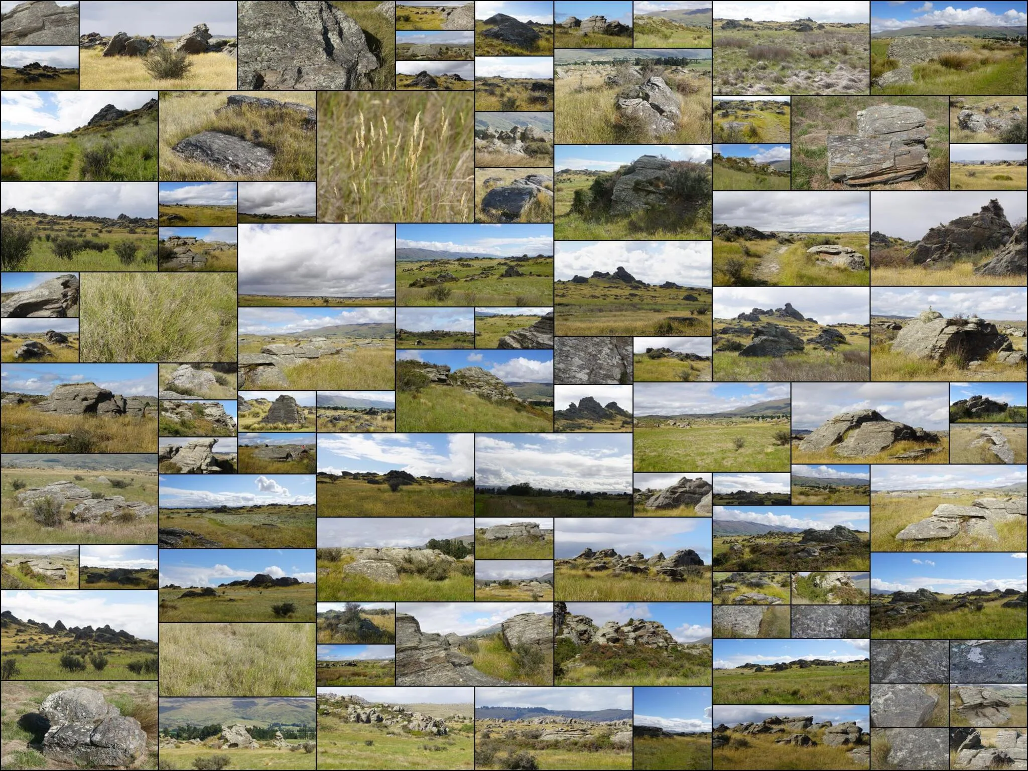 193 photos of Dry Field Rocks