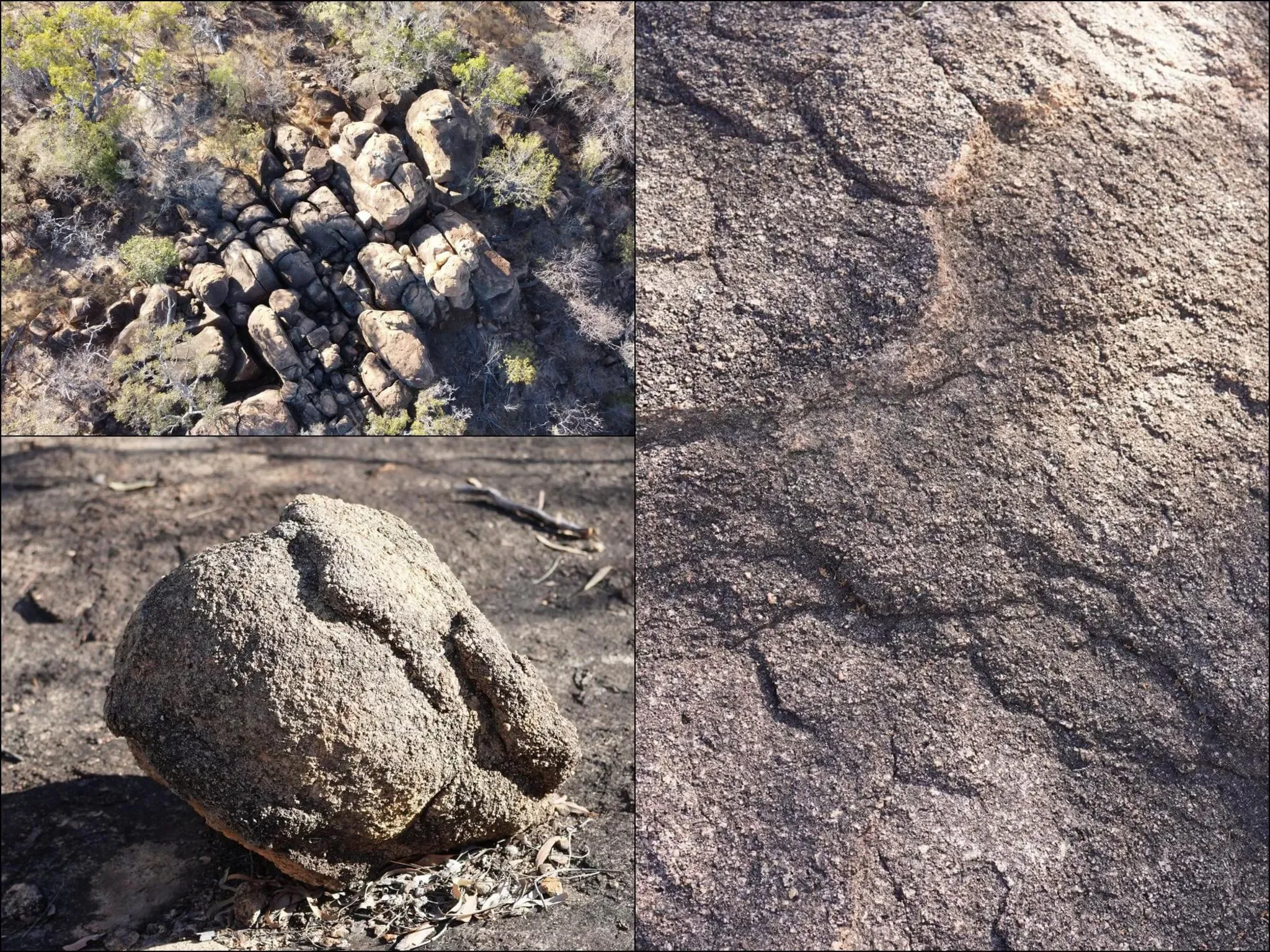 326 photos of Pink Granite Rocks in Bush Savannah