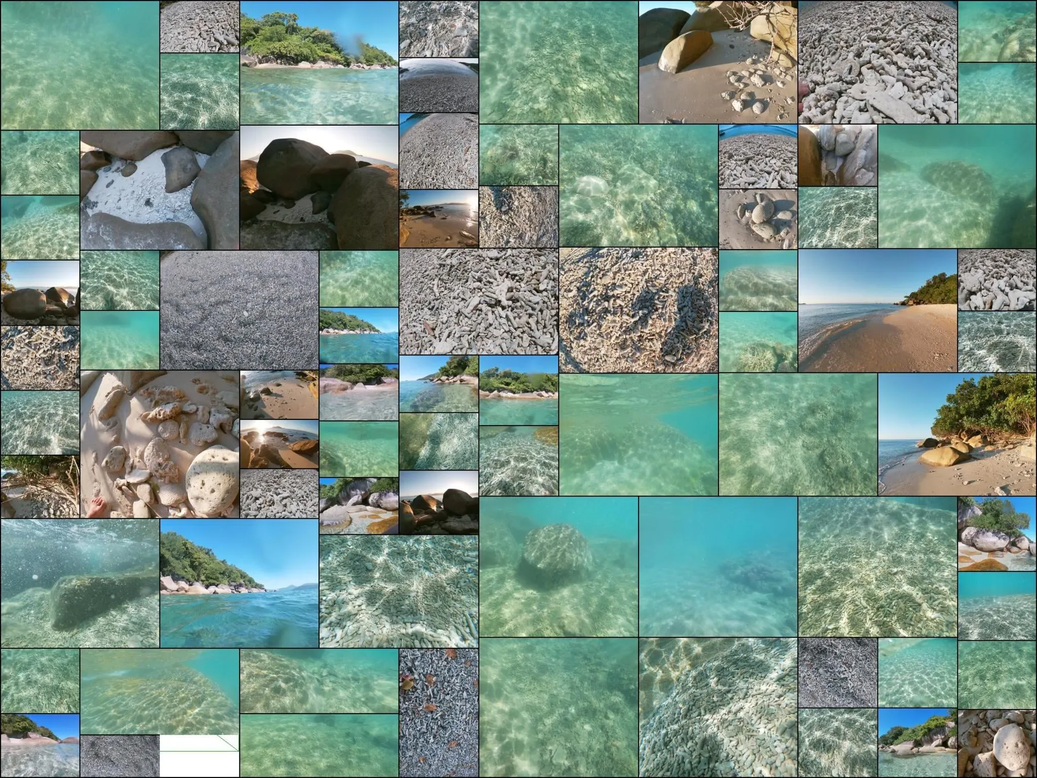 160 photos of Dead Coral Beach