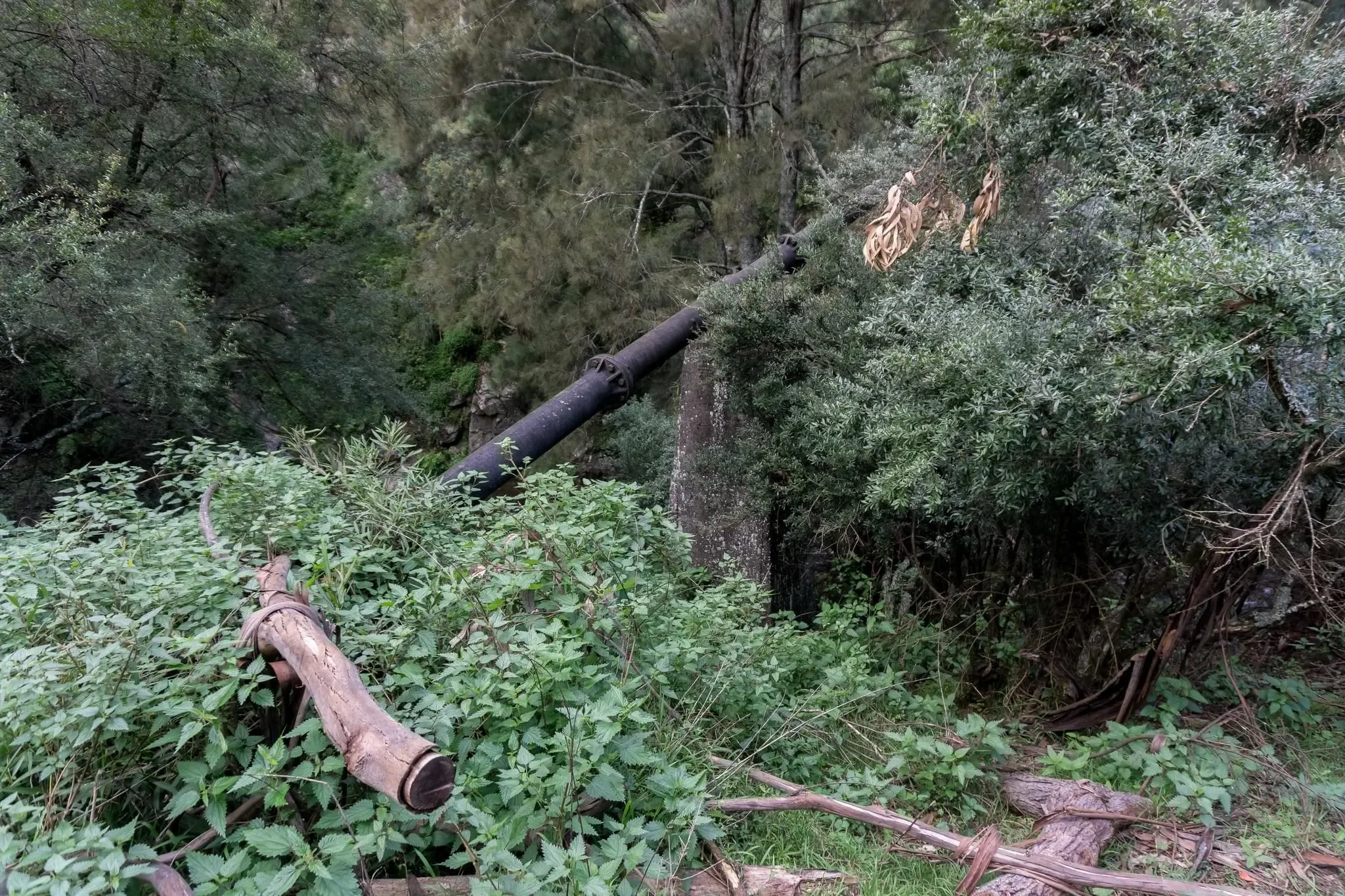 101 photos of Green Stream and an Old Dam