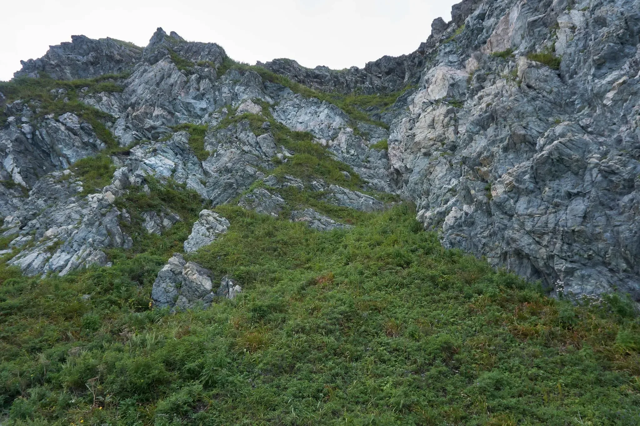 80 photos of Dark Green Rocks