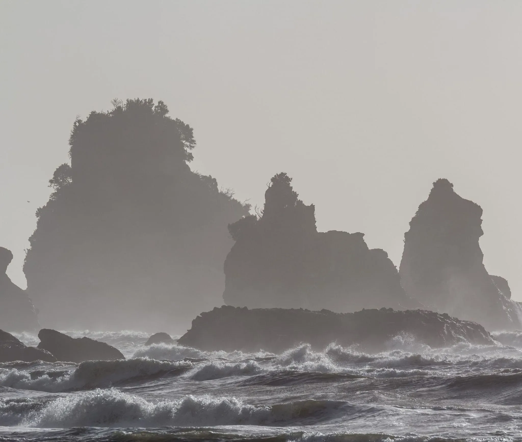 428 photos of Motukiekie Cliff Cluster