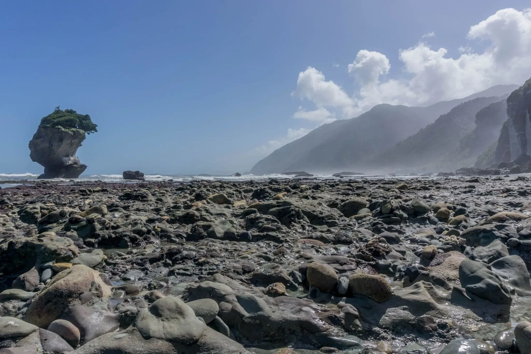 428 photos of Motukiekie Cliff Cluster