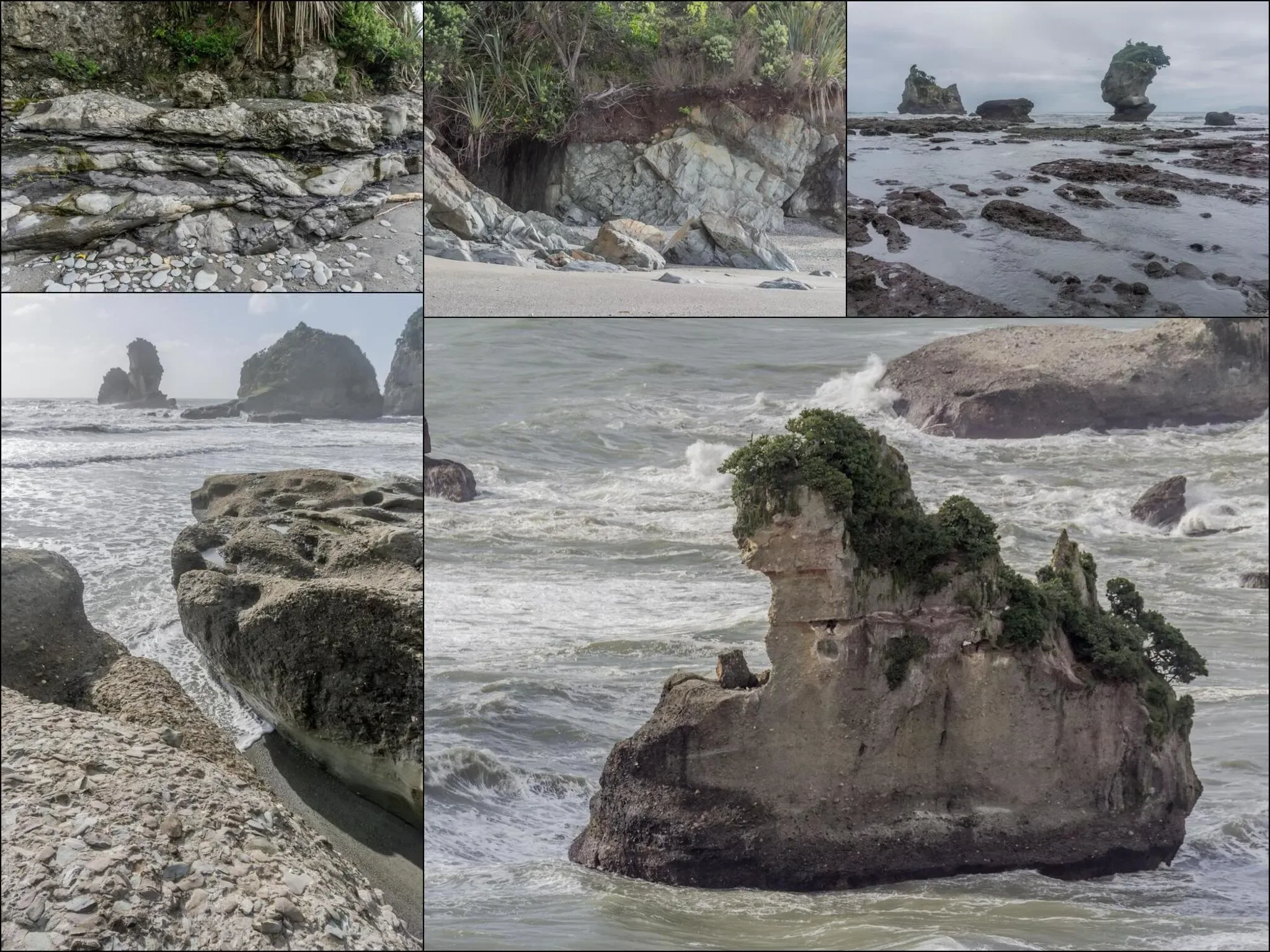 428 photos of Motukiekie Cliff Cluster