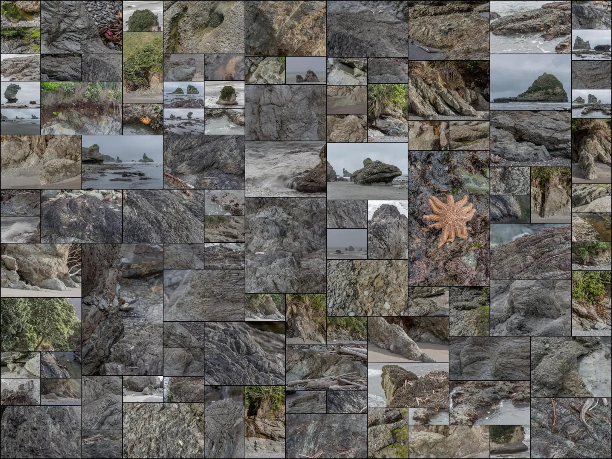 428 photos of Motukiekie Cliff Cluster