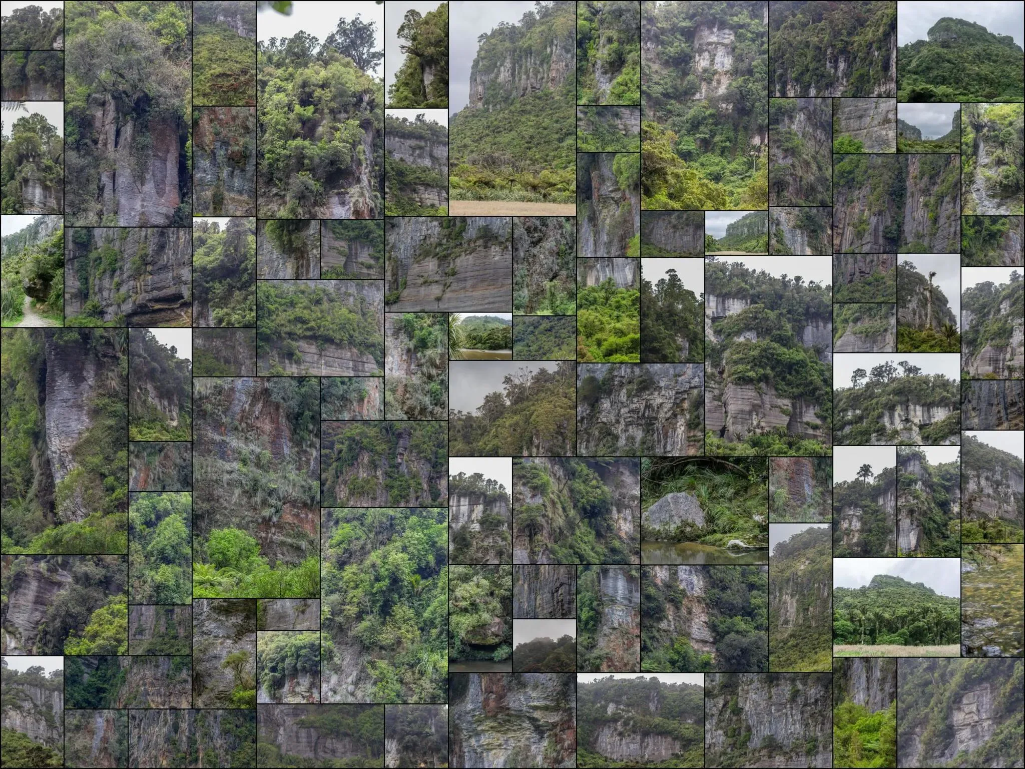 350 photos of Subtropical River