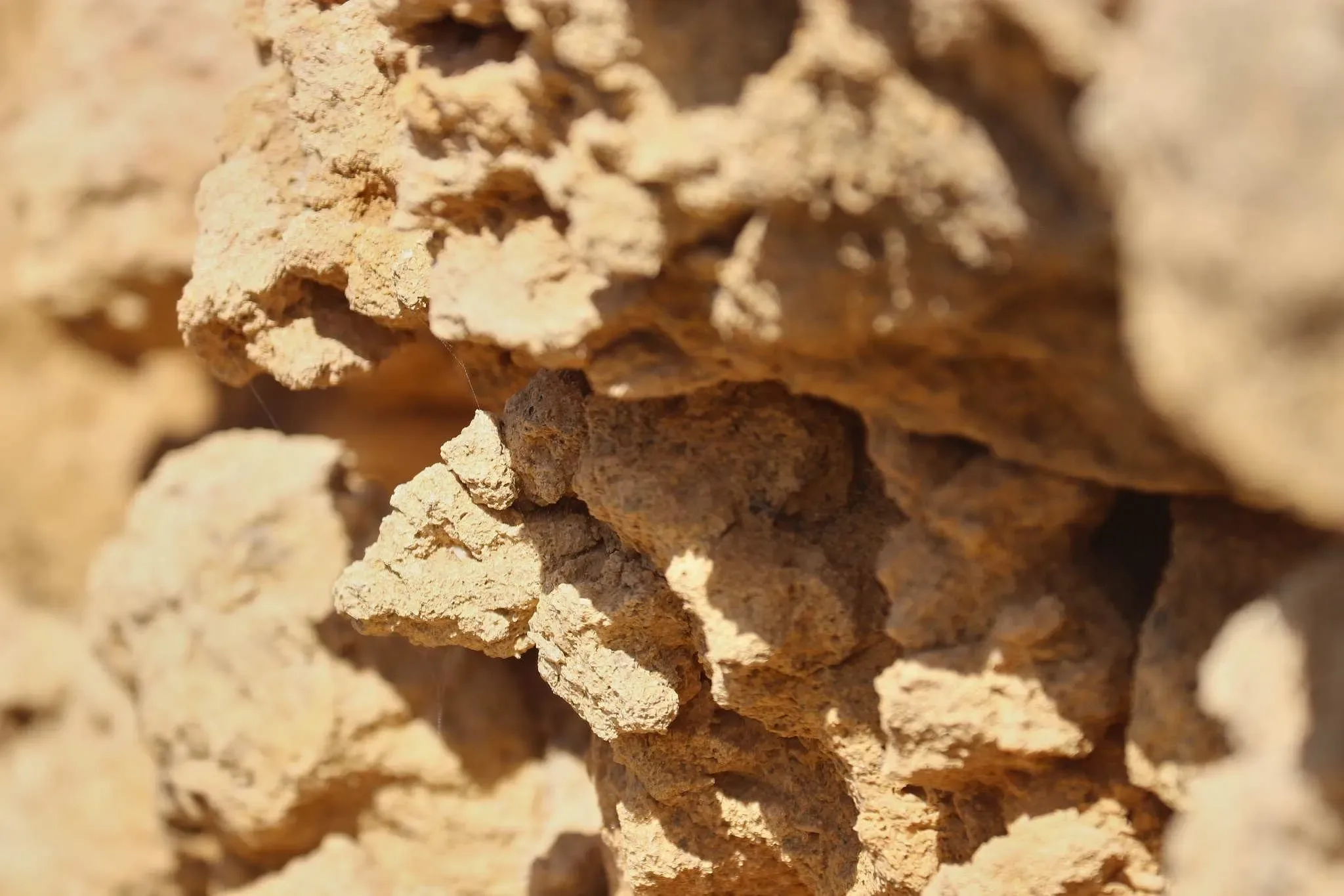 114 photos of Eroded Sandstone Cliff