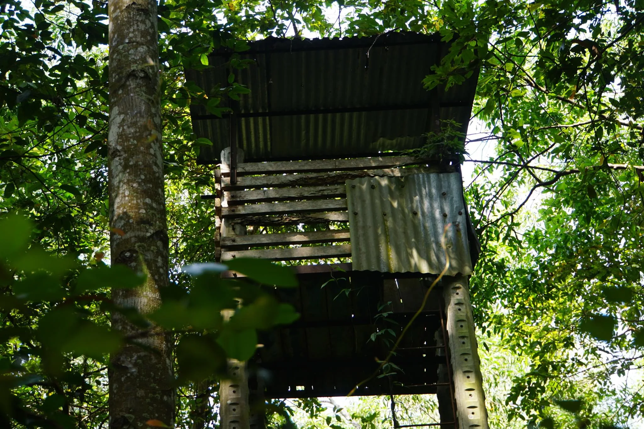 103 photos of Vietnam War Tunnels, Traps and Quarters