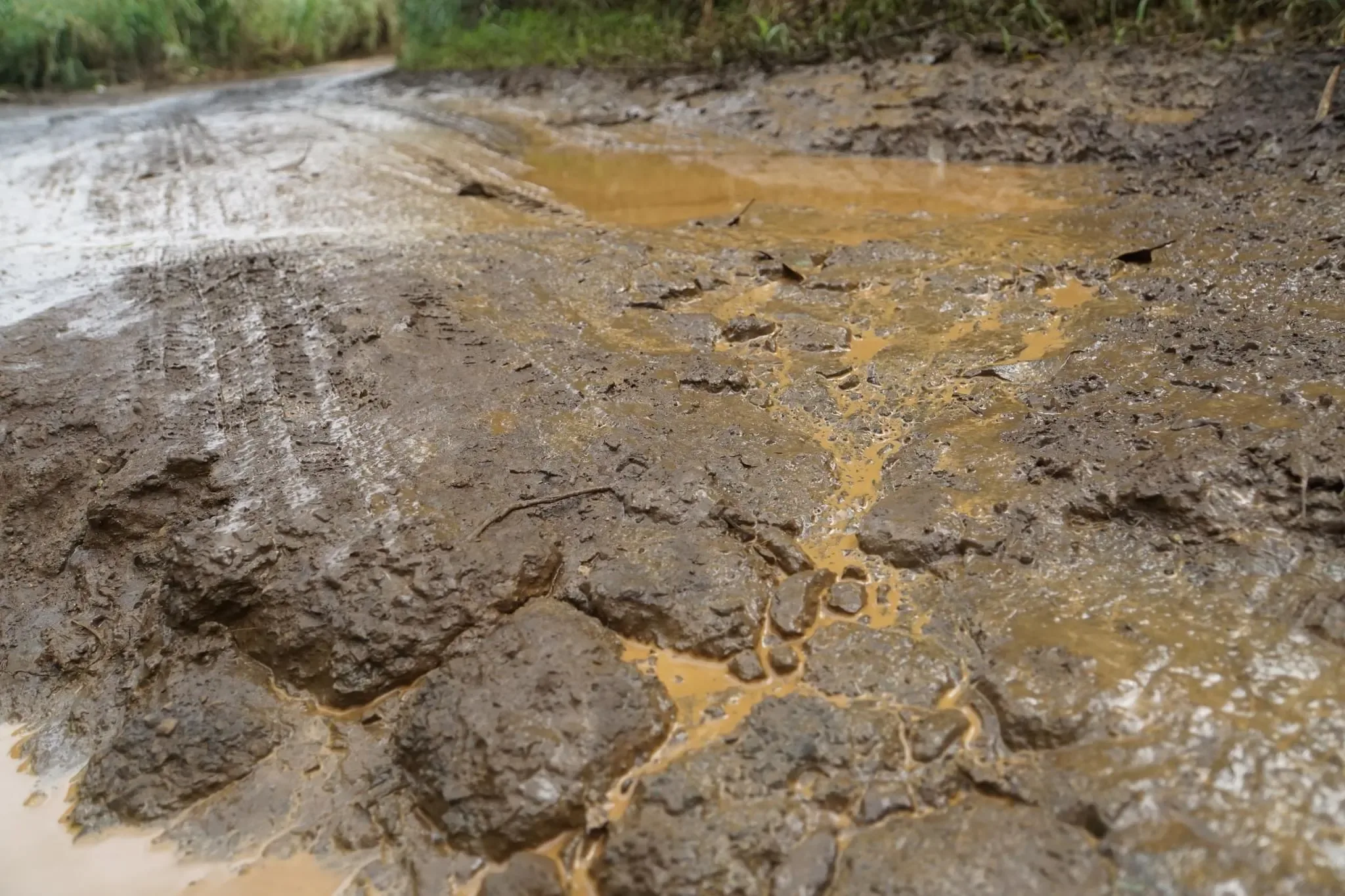 341 photos of Mud Road