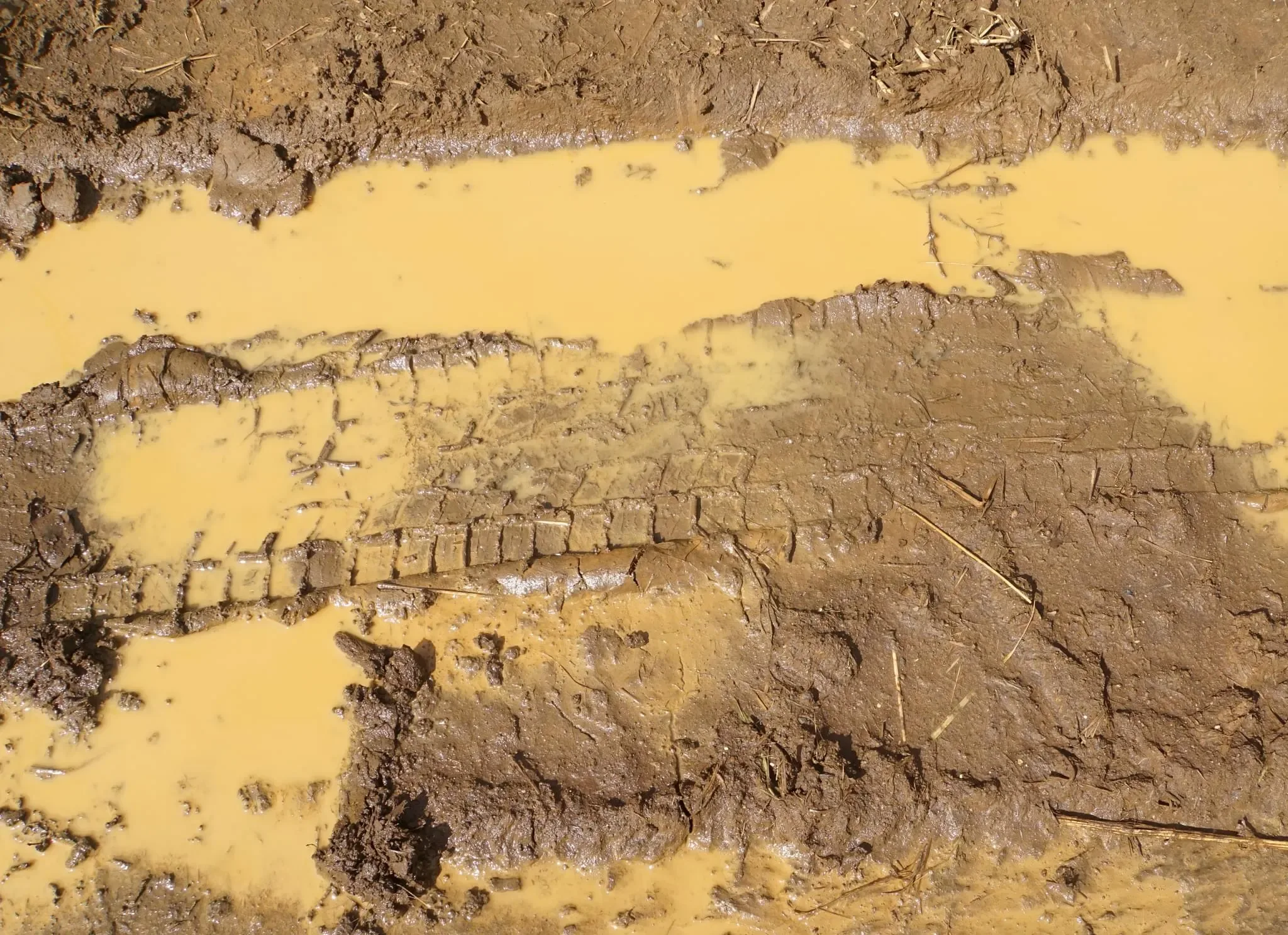 341 photos of Mud Road