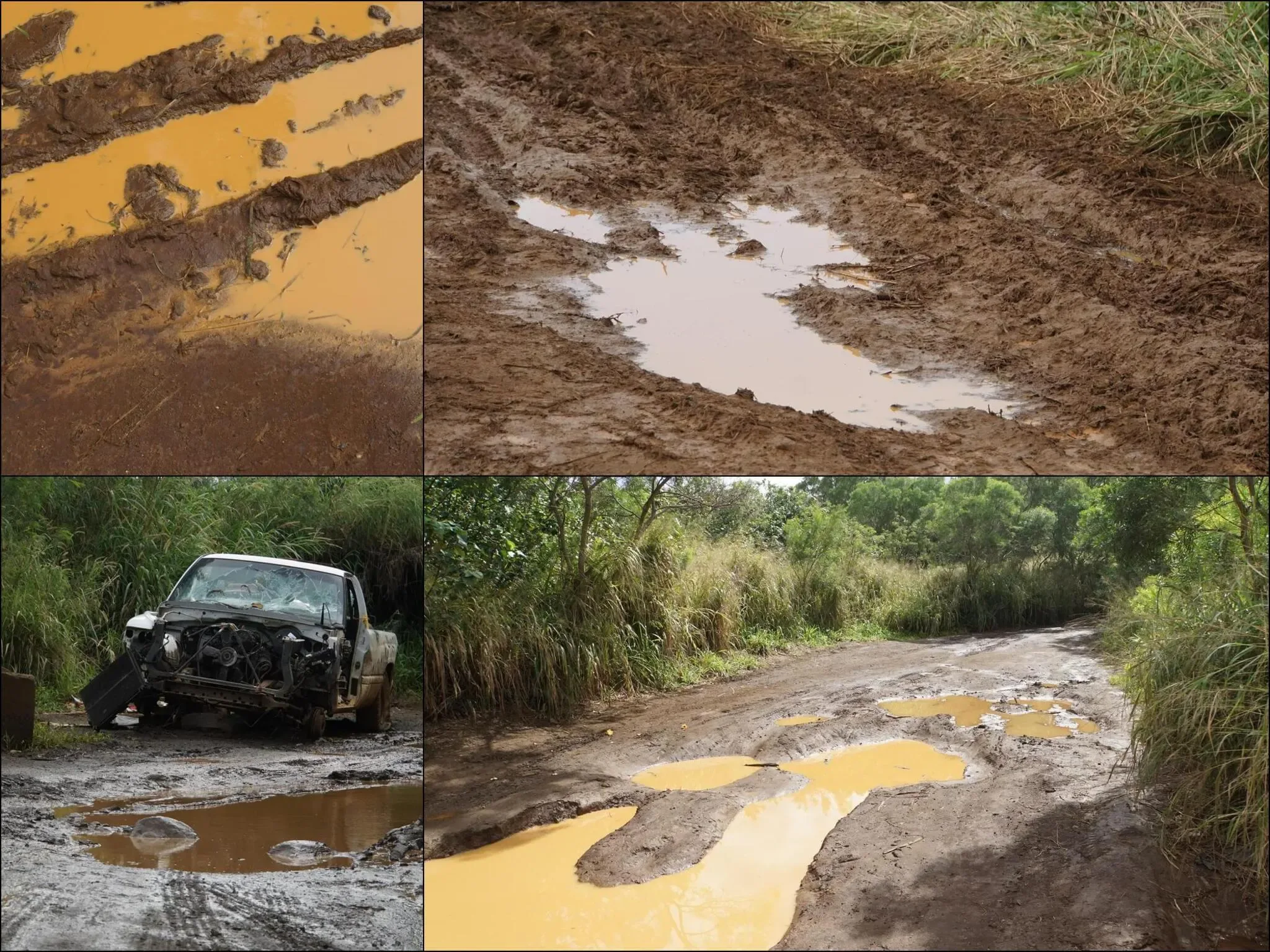 341 photos of Mud Road