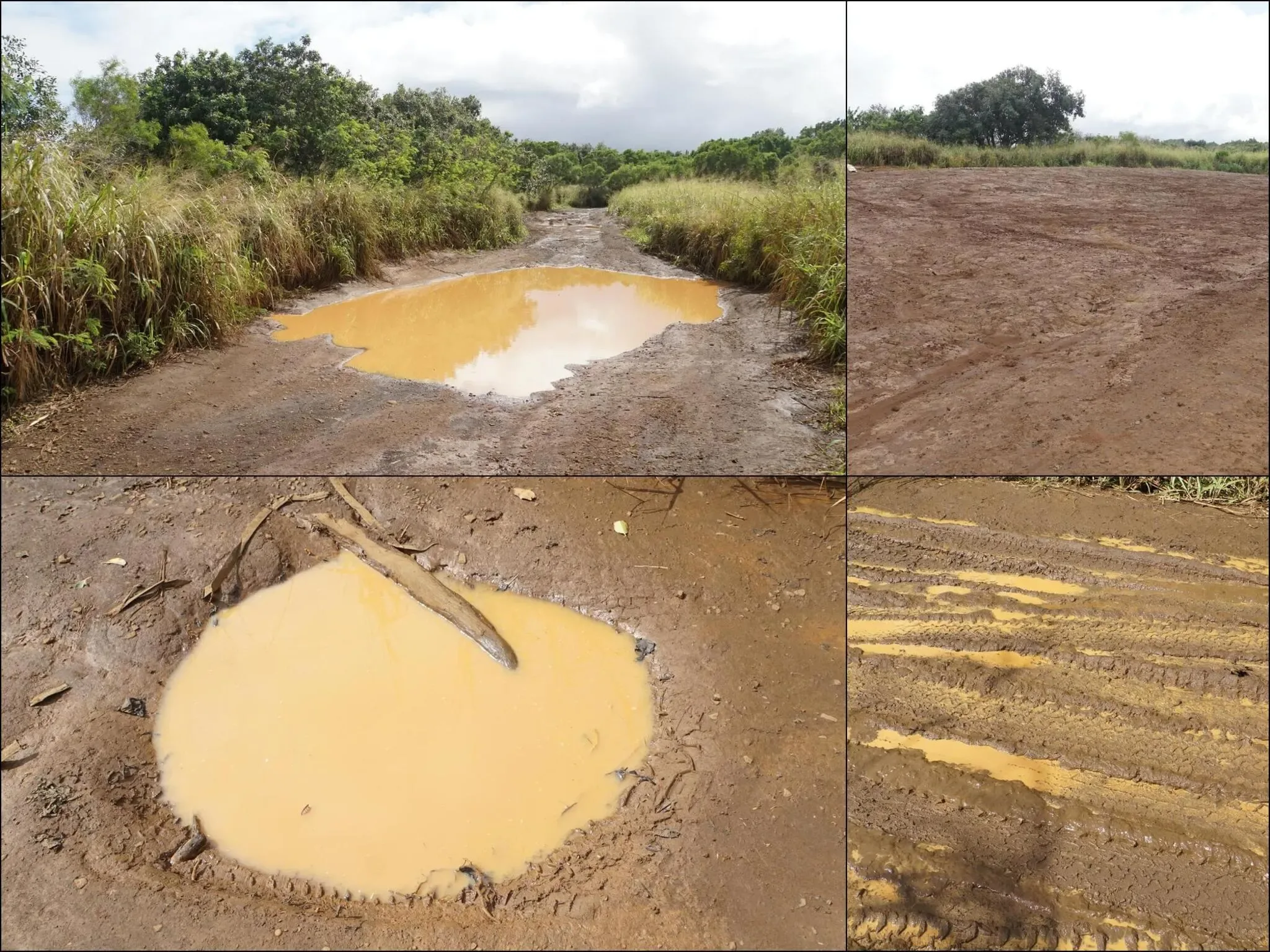 341 photos of Mud Road