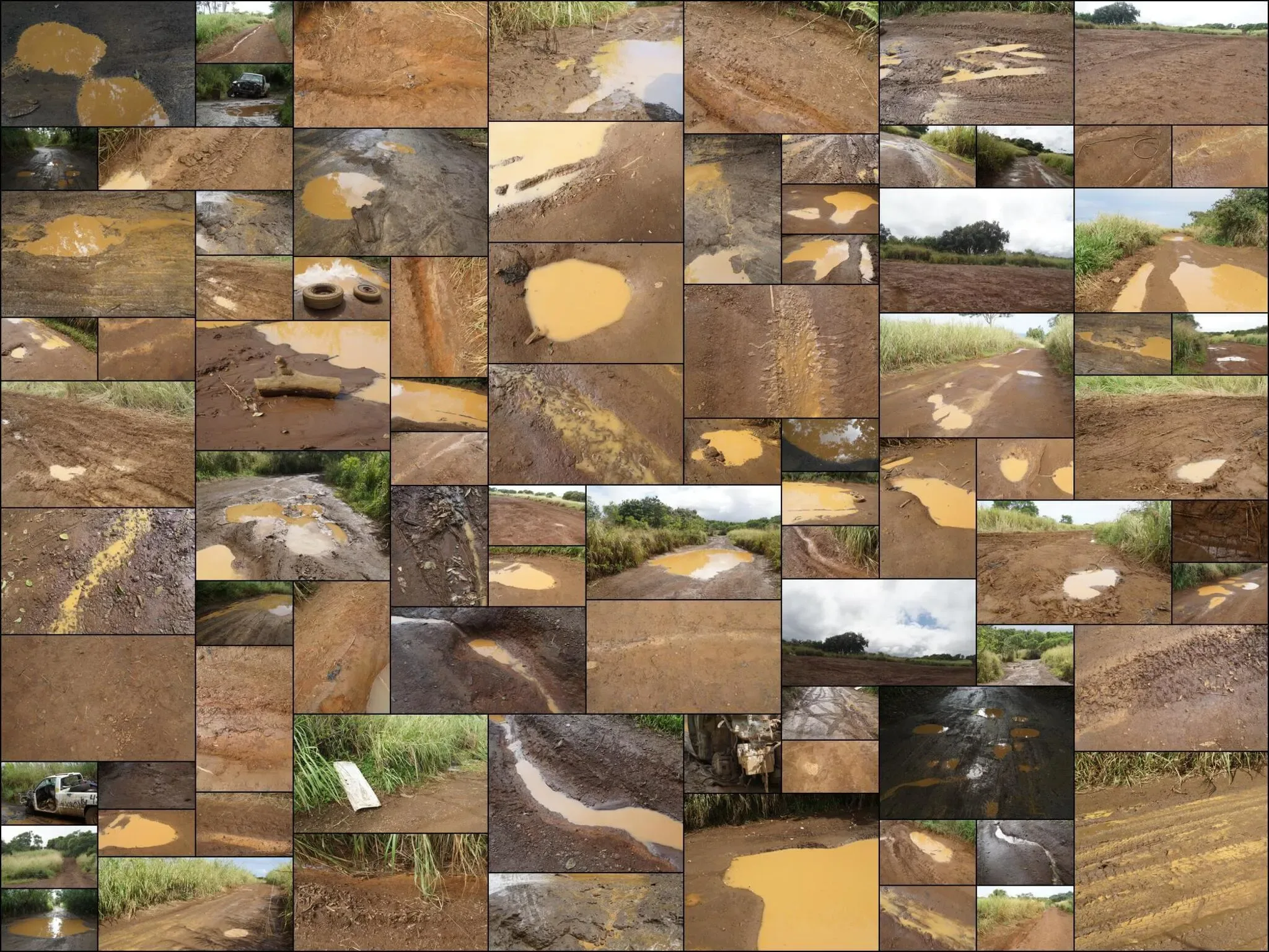 341 photos of Mud Road