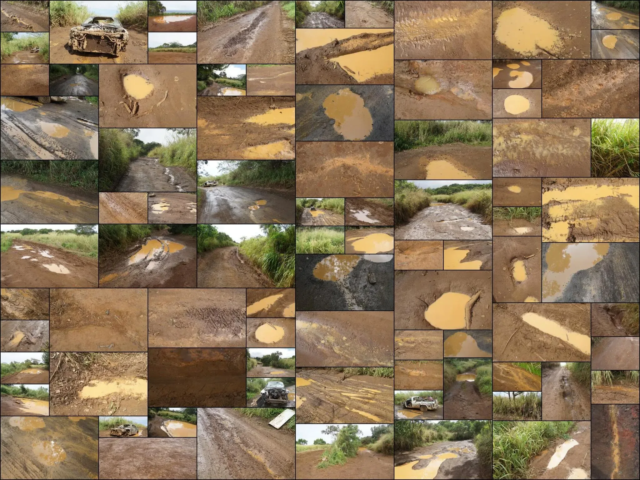 341 photos of Mud Road