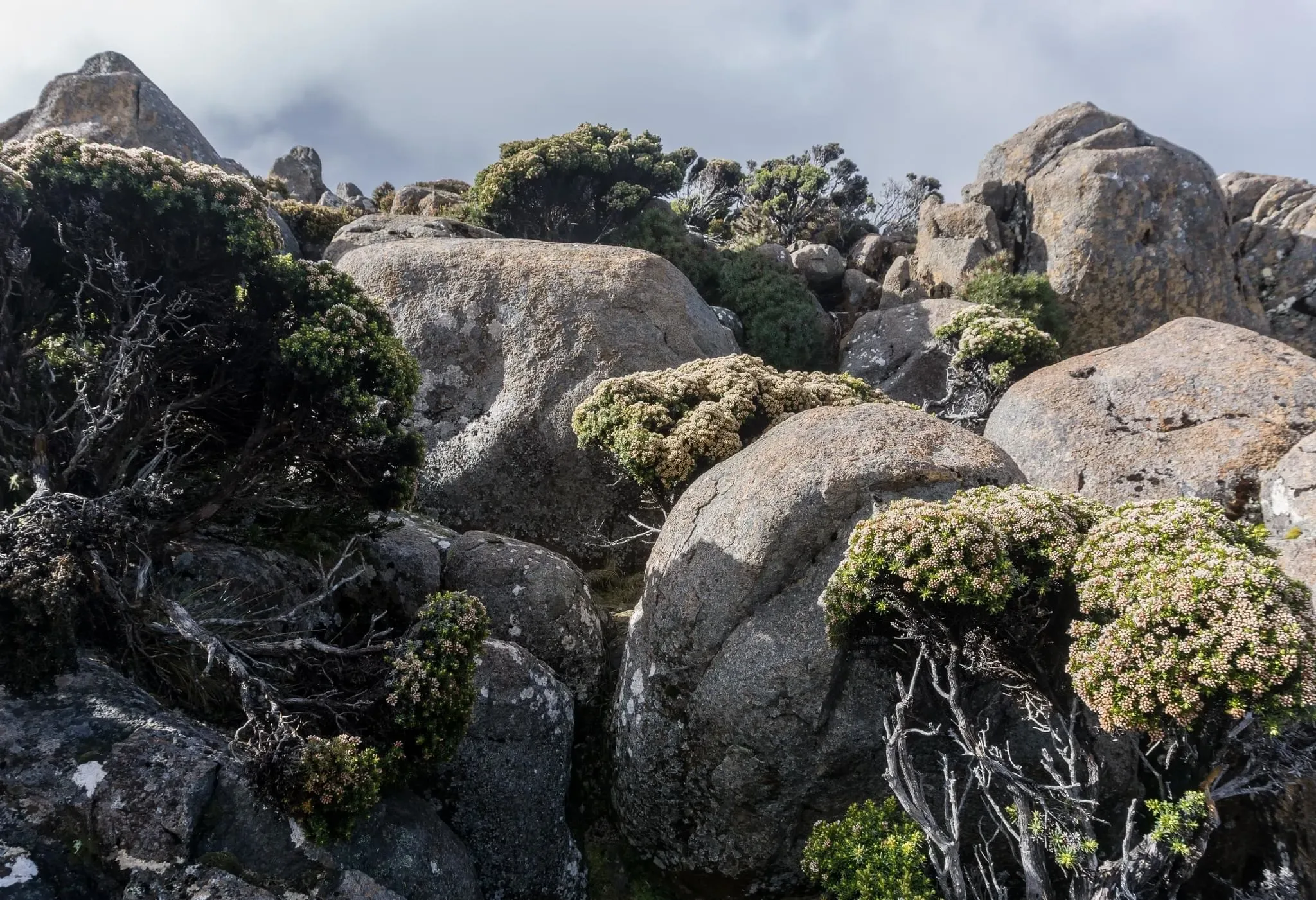 93 photos of Mount Peak Dorelite Rocks