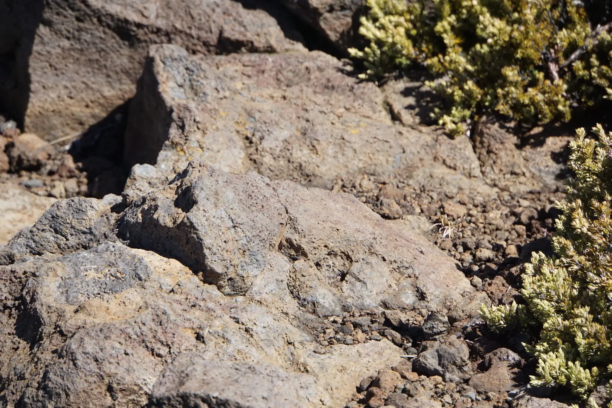 97 photos of Volcanic Rubble Rocks - FlippedNormals
