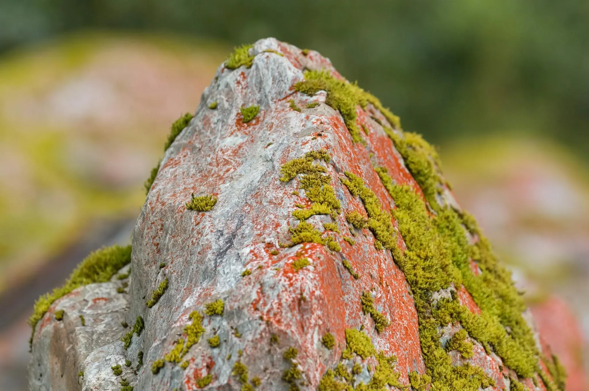 134 photos of Red and Green Mossy Rock Valley