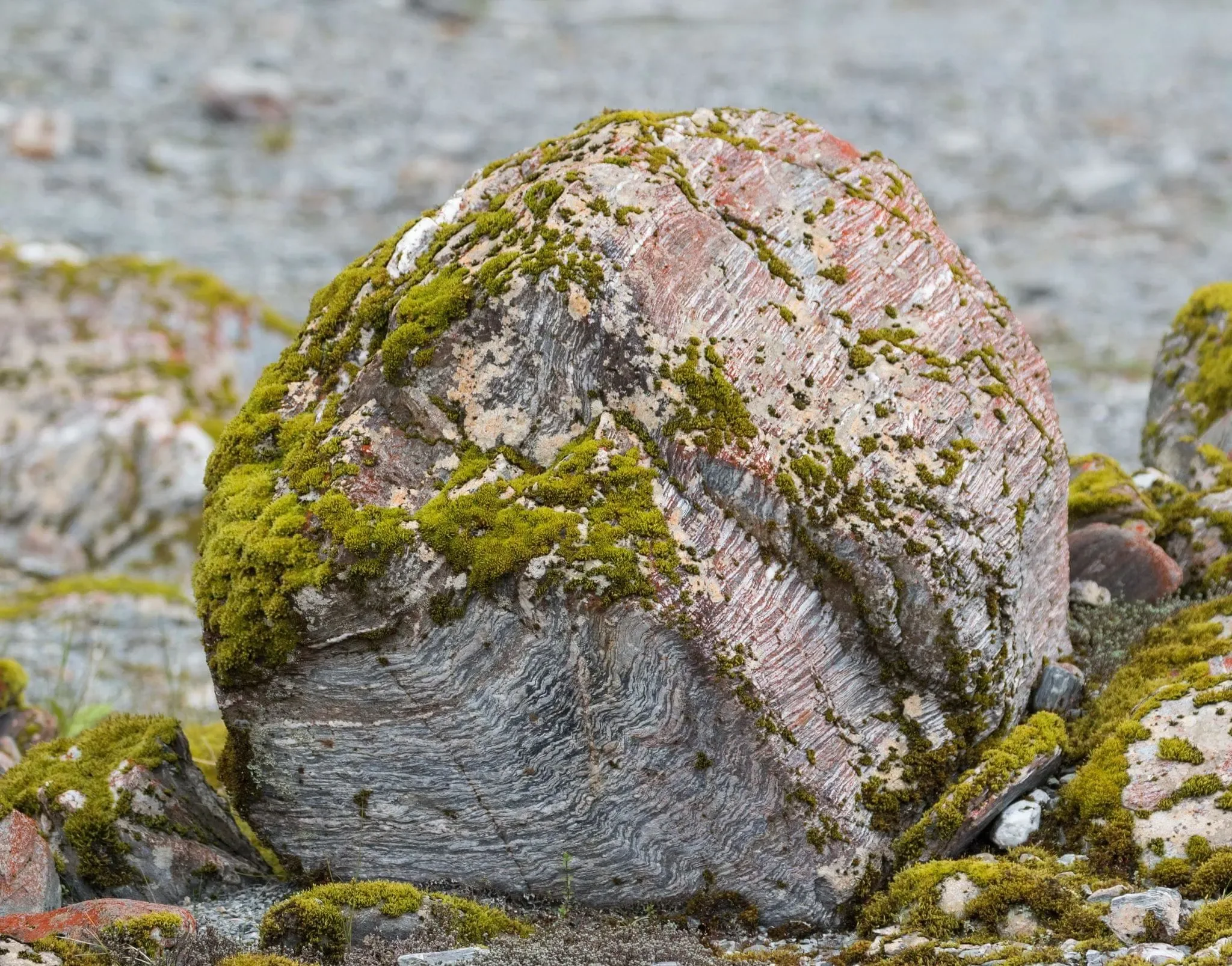 134 photos of Red and Green Mossy Rock Valley