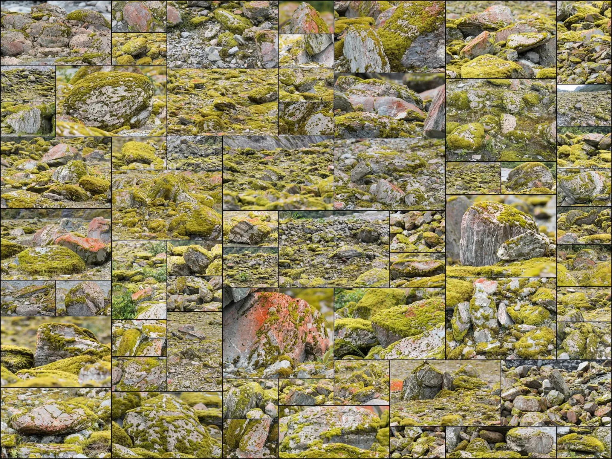 134 photos of Red and Green Mossy Rock Valley