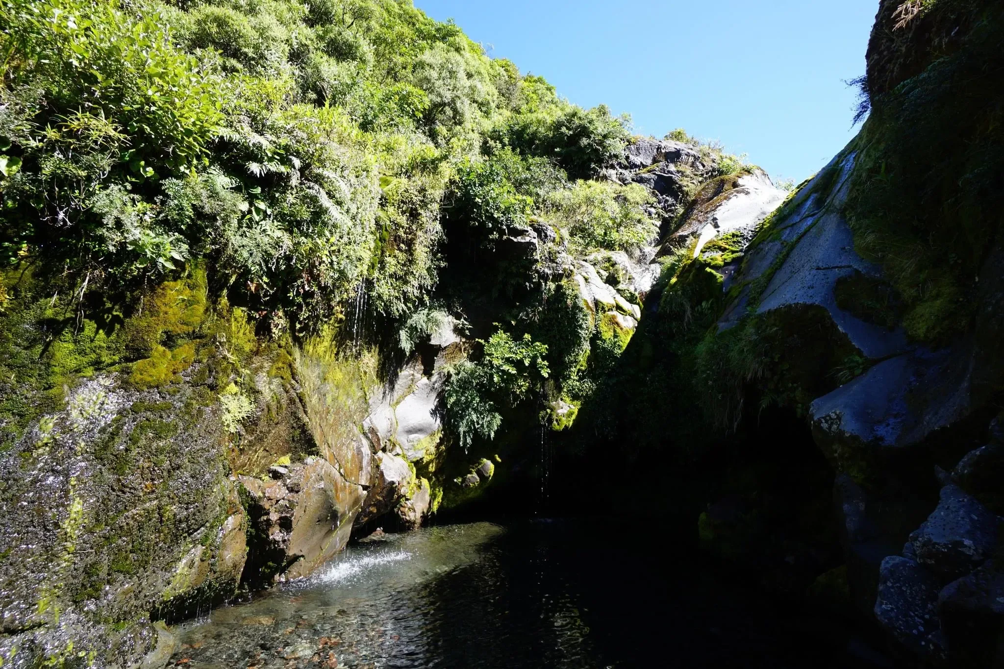269 photos of Mountain Pools