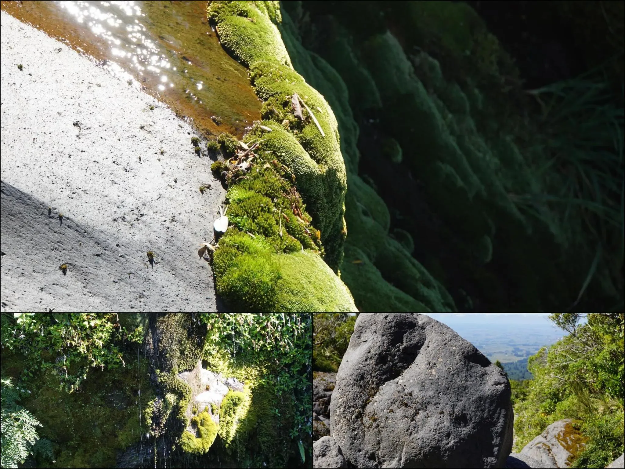 269 photos of Mountain Pools