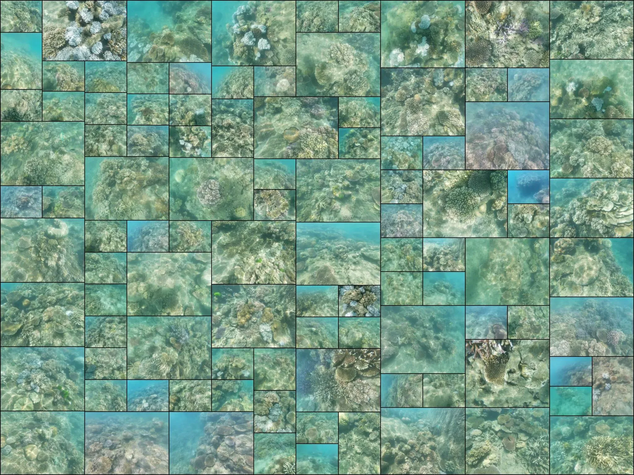 311 photos of Island Coral Reef Strong Caustics