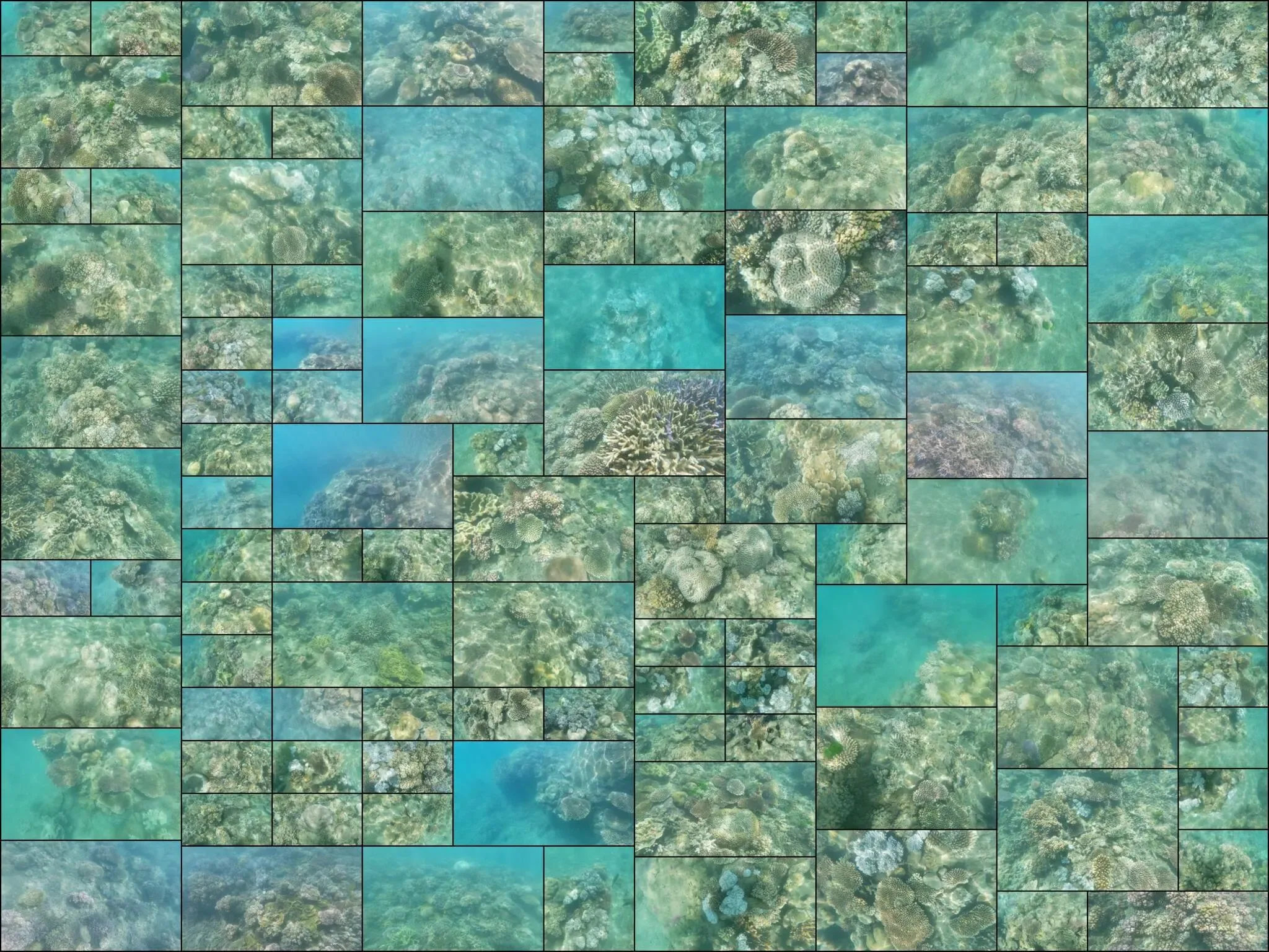 311 photos of Island Coral Reef Strong Caustics