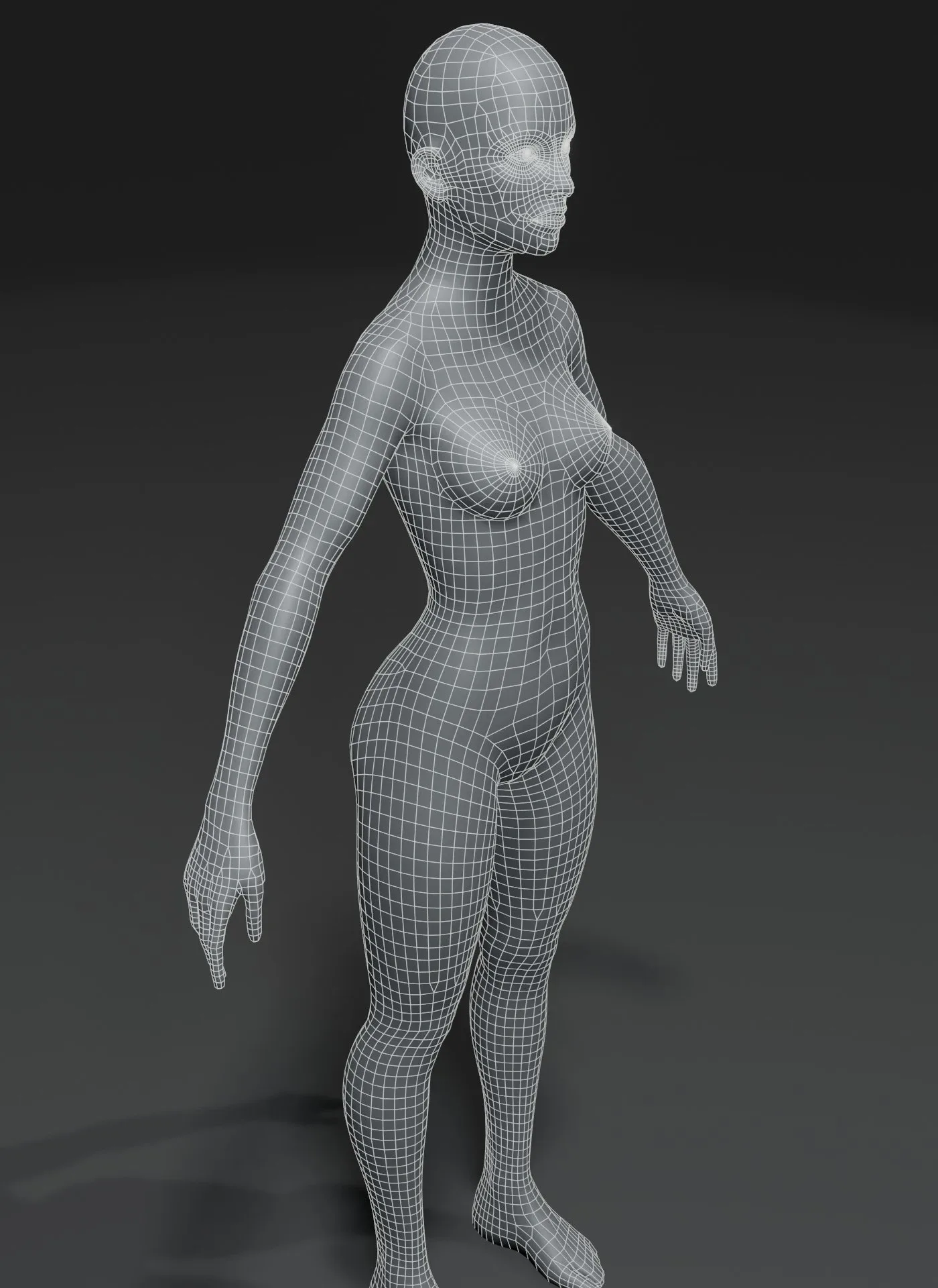 Male and Female Body Base Mesh Animated and Rigged 10k Polygons