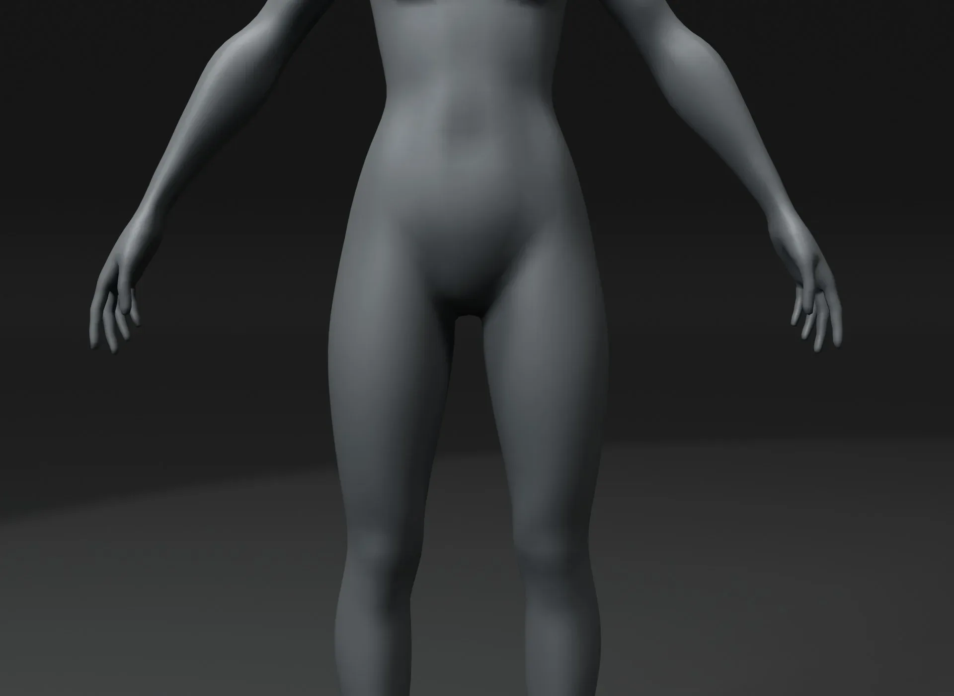 Male and Female Body Base Mesh Animated and Rigged 10k Polygons