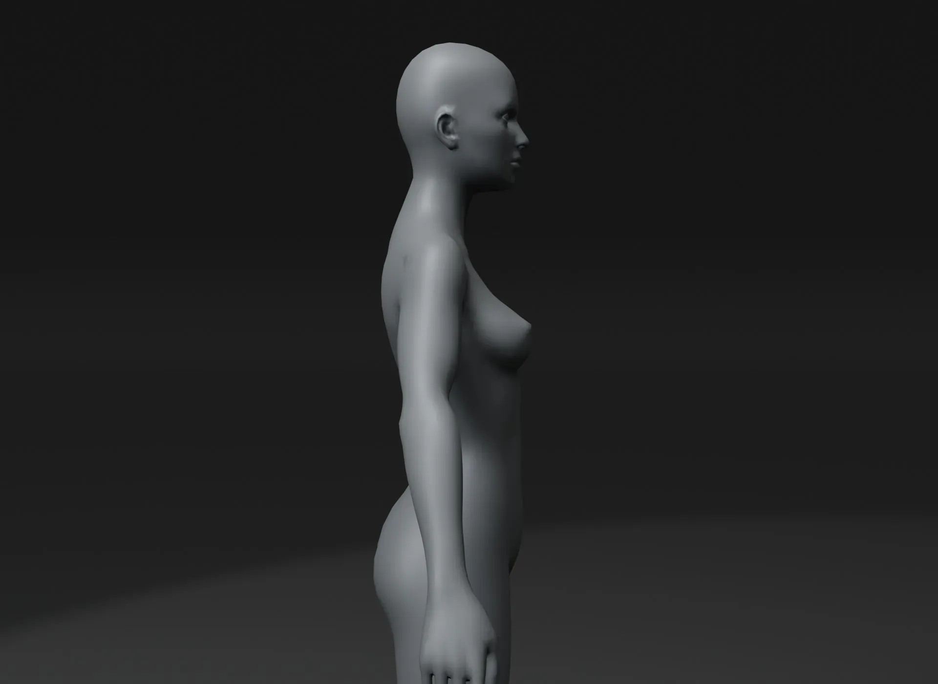 Male and Female Body Base Mesh Animated and Rigged 10k Polygons