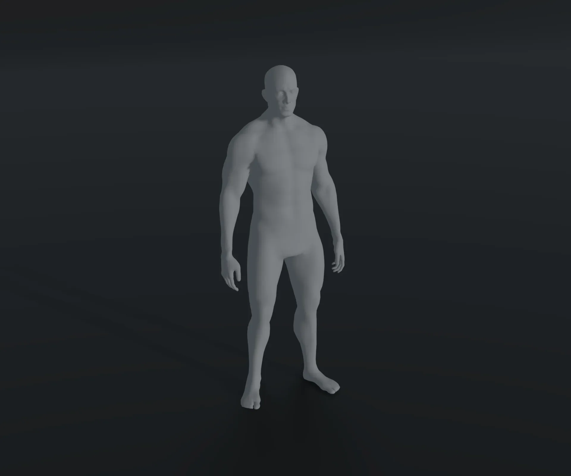 Male and Female Body Base Mesh Animated and Rigged 10k Polygons