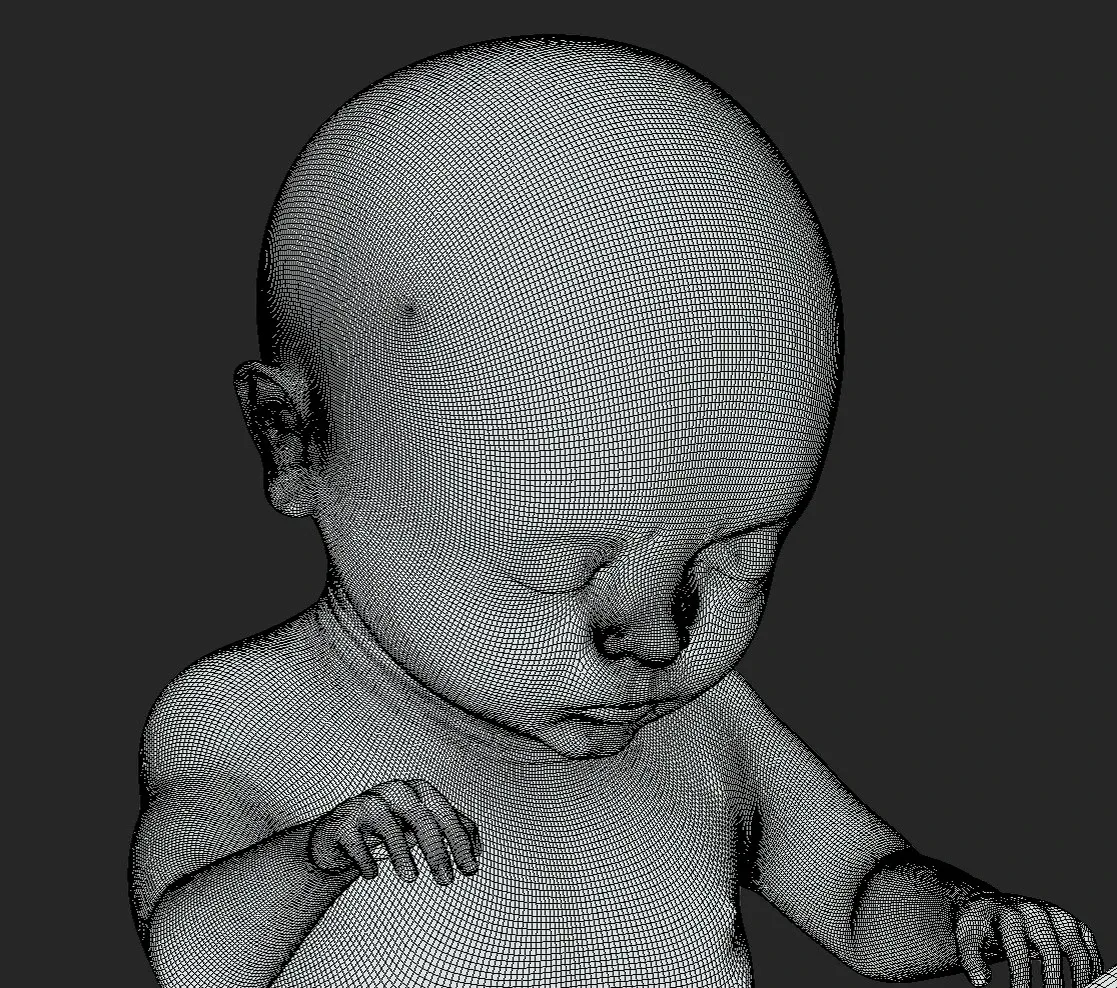 Fetal Development Stages - Human embryonic