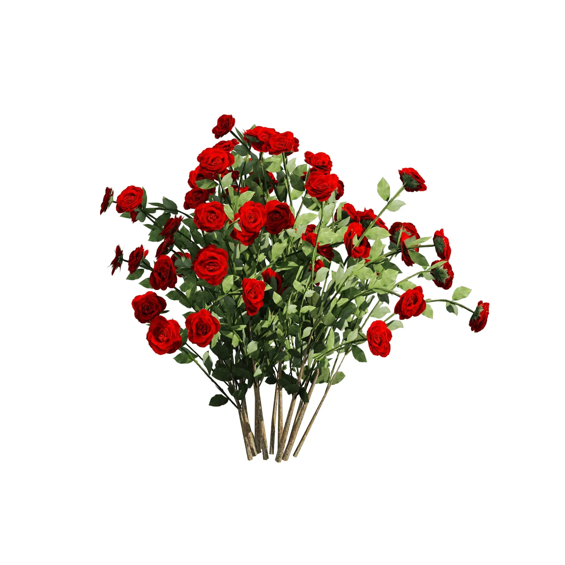 3 Red Rose Flower Bush Low Poly