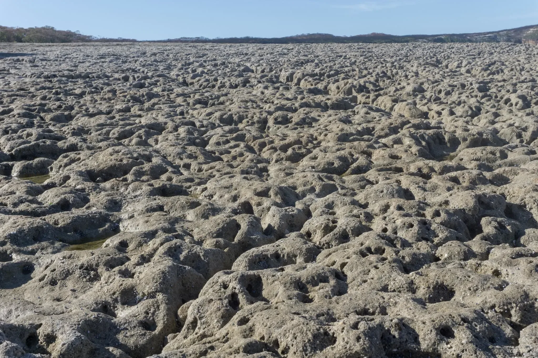 70 photos of Sponge Marine Rocks and Boulders