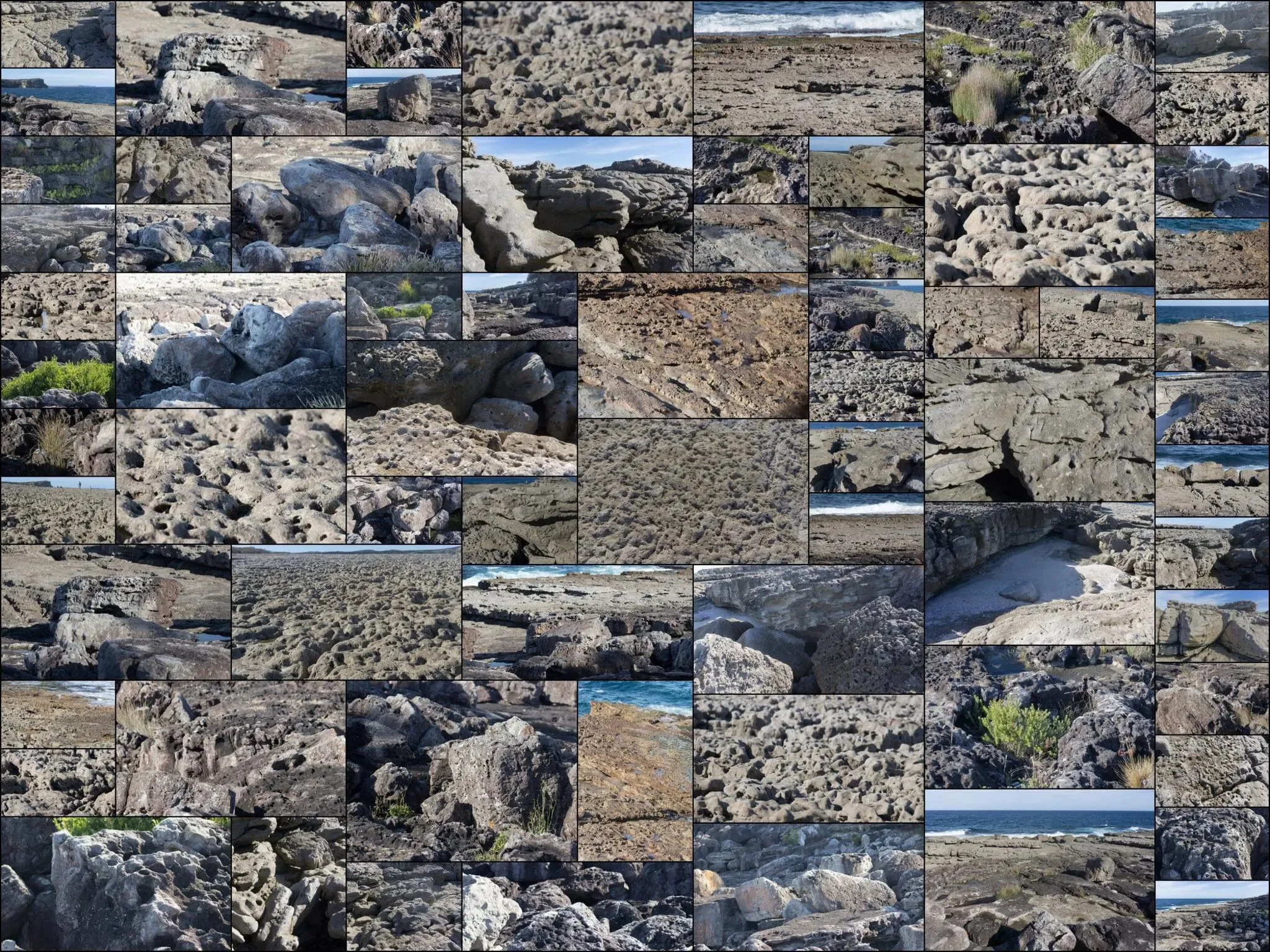 70 photos of Sponge Marine Rocks - FlippedNormals