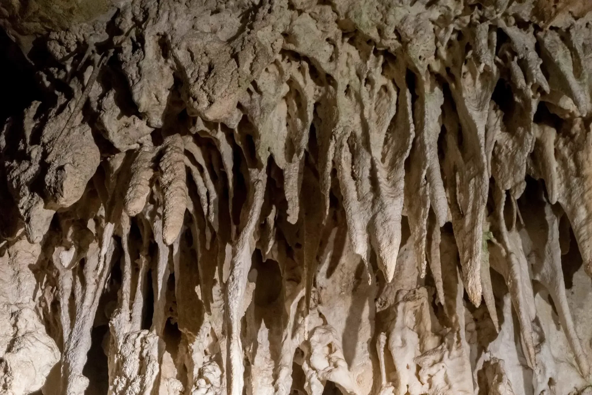 451 photos of Jenolan Limestone Cave System