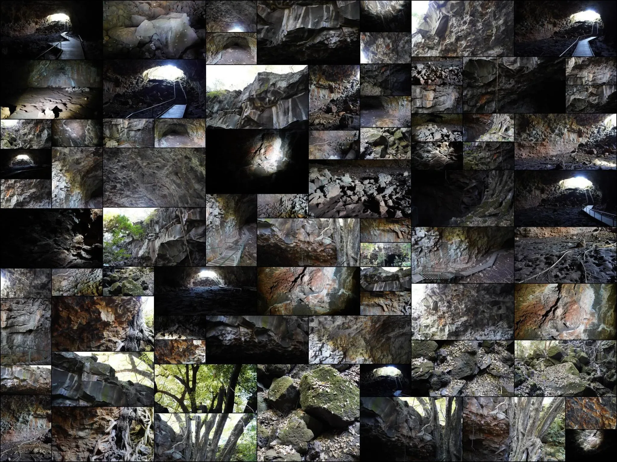 77 photos of Overgrowing Lava Tube