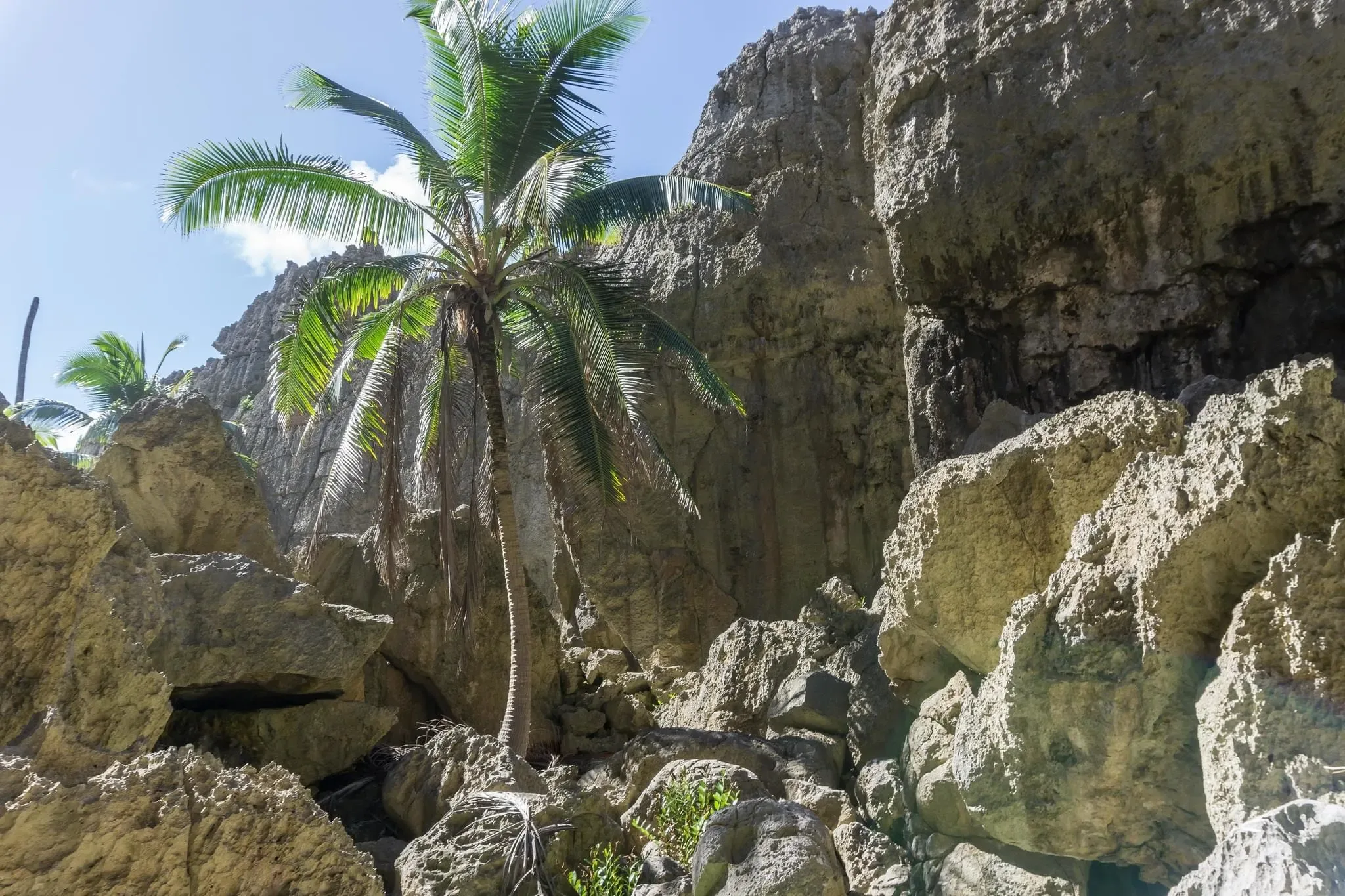 119 photos of Togo Coral Rock Chasm